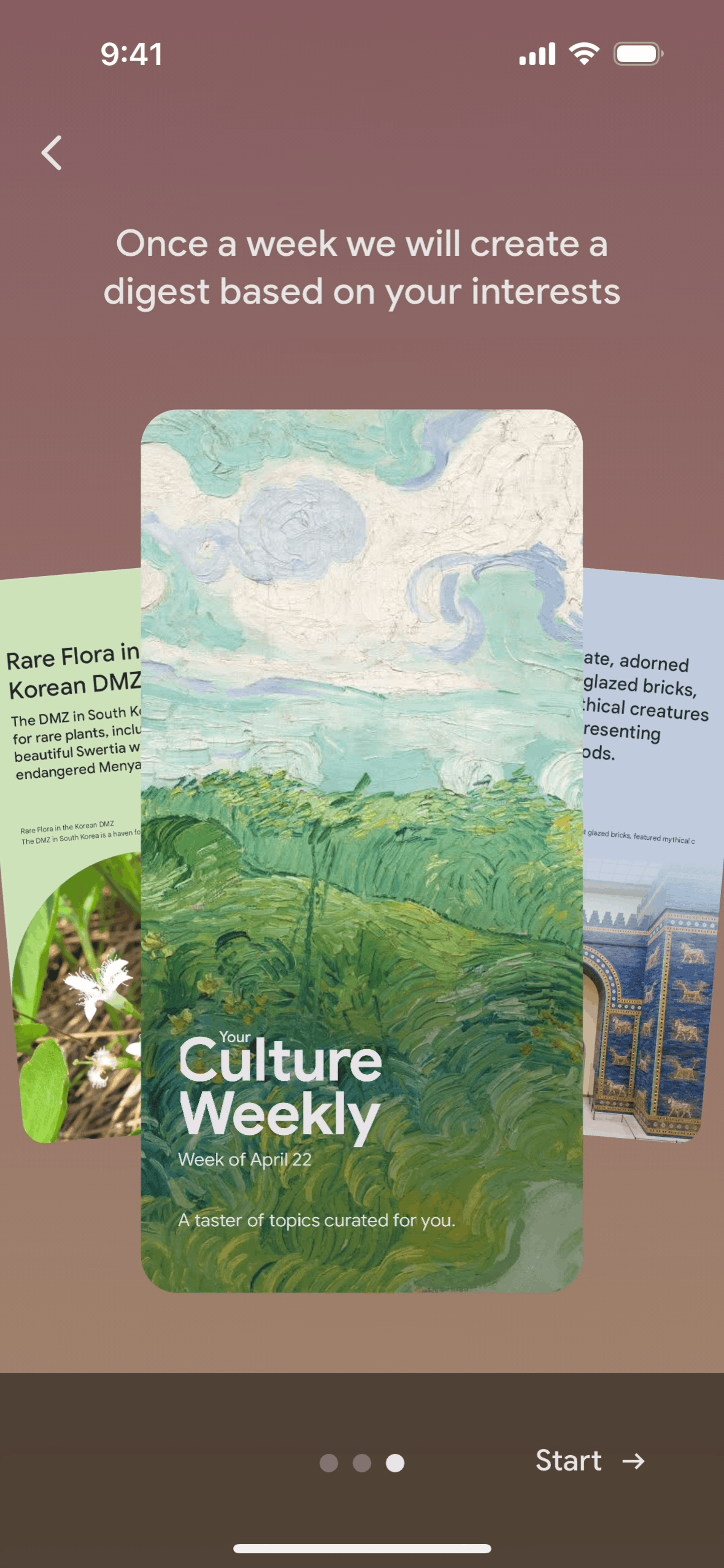 Google Arts & Culture iOS Education interface screenshot 8