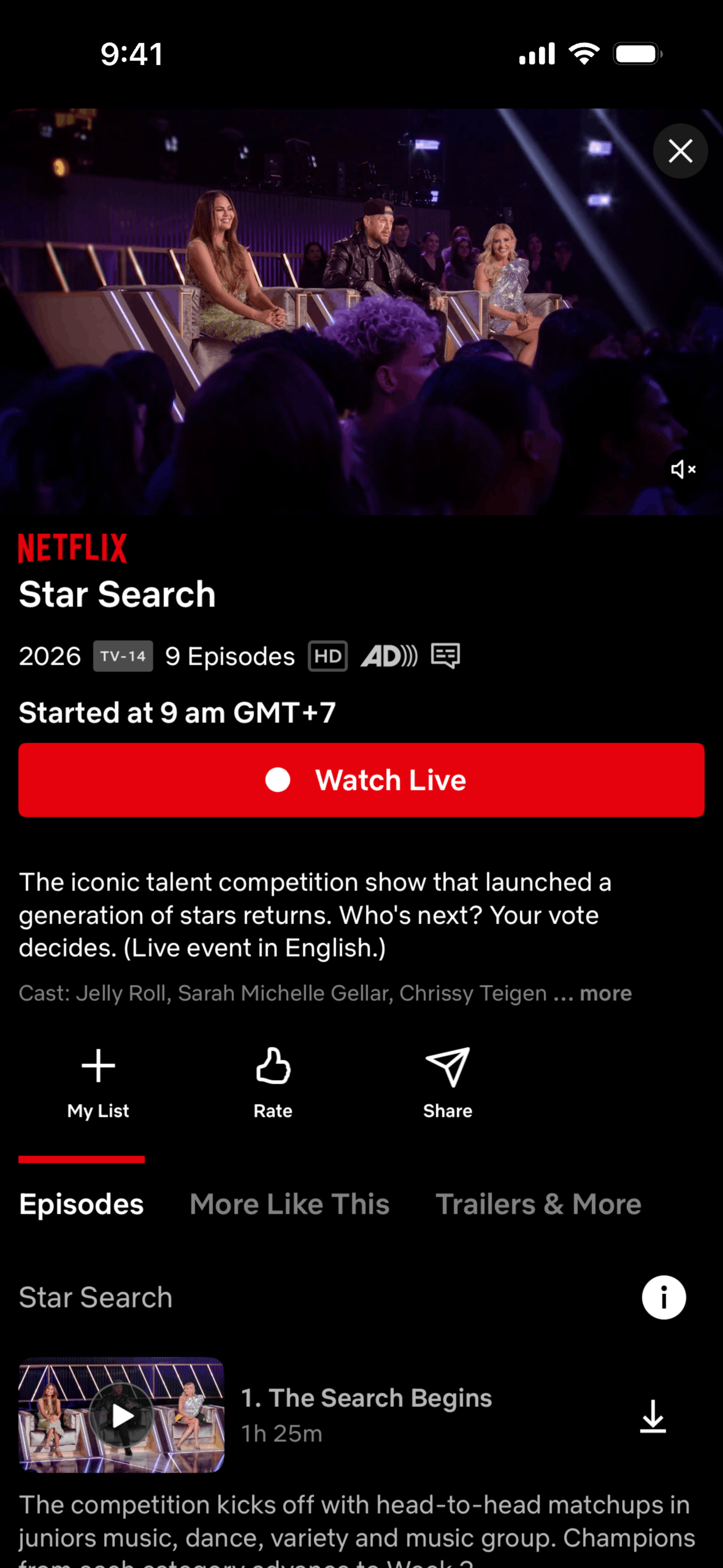 Netflix iOS Entertainment interface screenshot 3