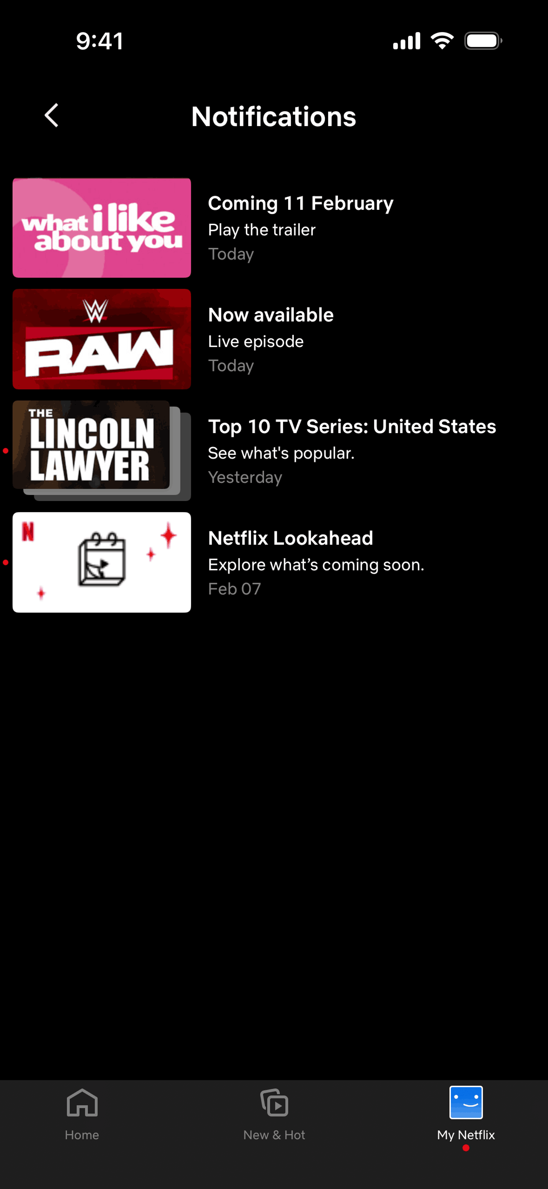 Netflix iOS Entertainment interface screenshot 22