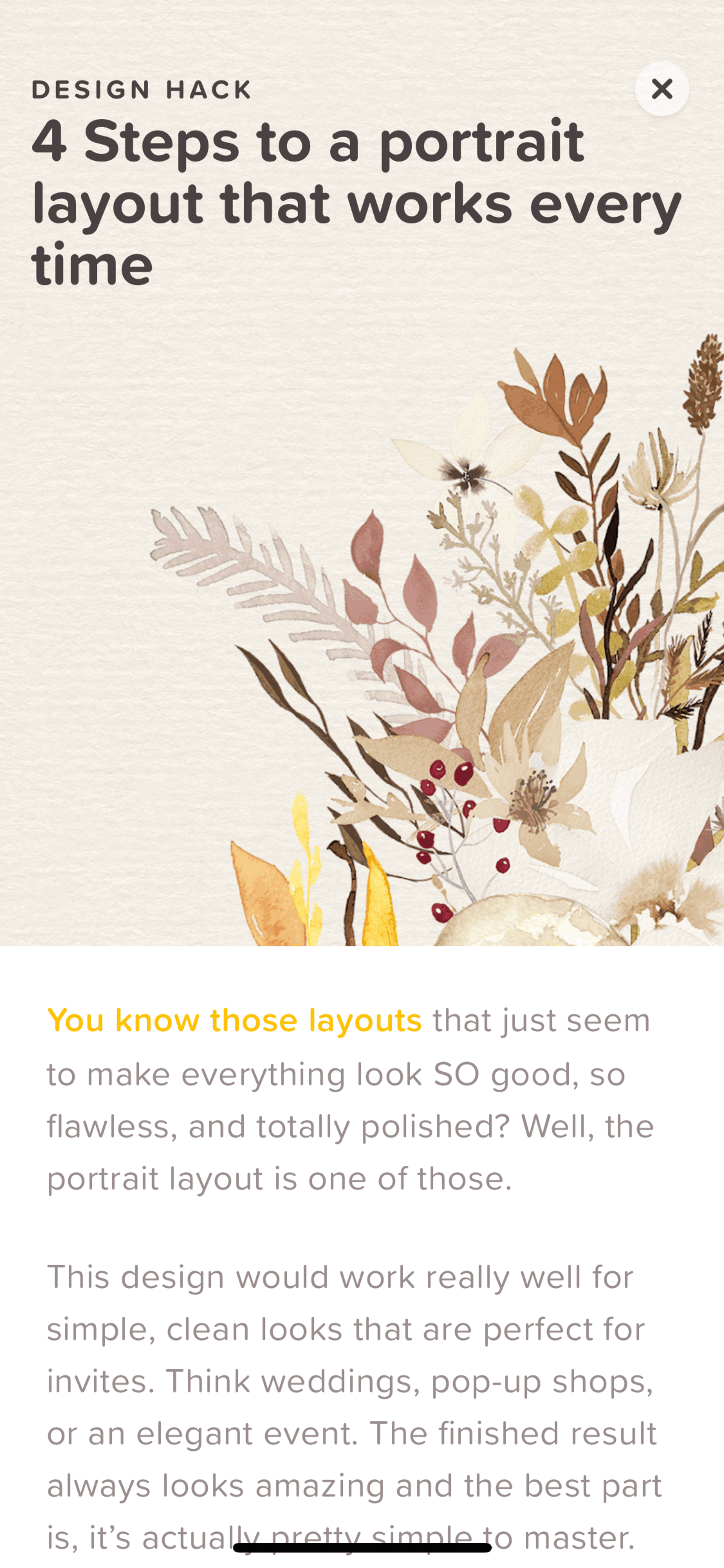 GoDaddy Studio iOS Photo & Video interface screenshot 11