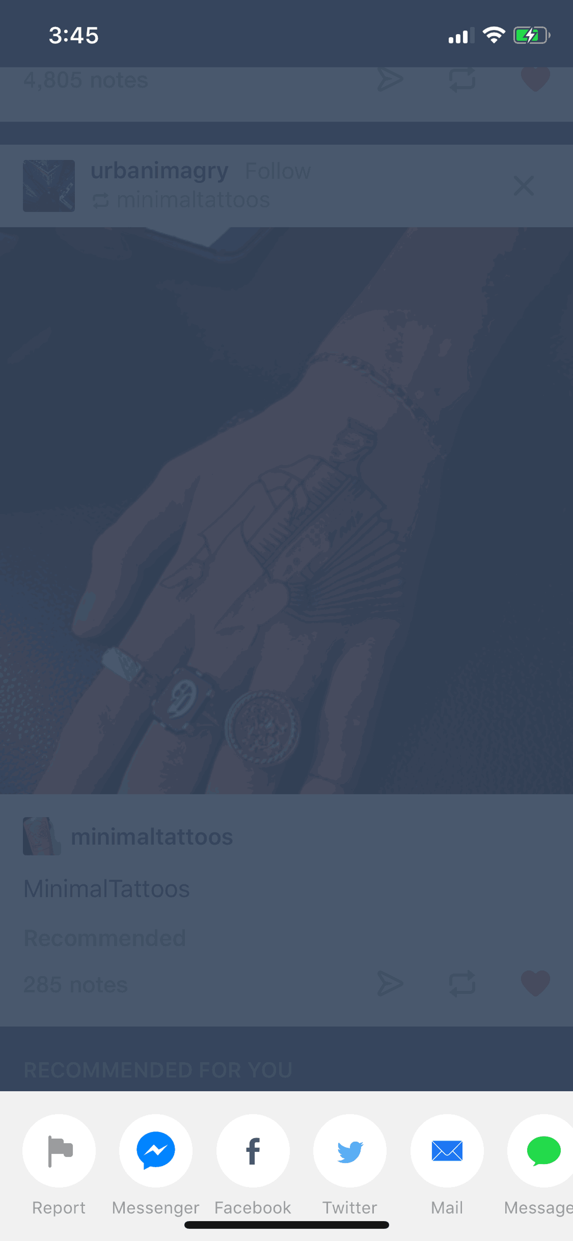 Tumblr iOS Social Networking interface screenshot 17