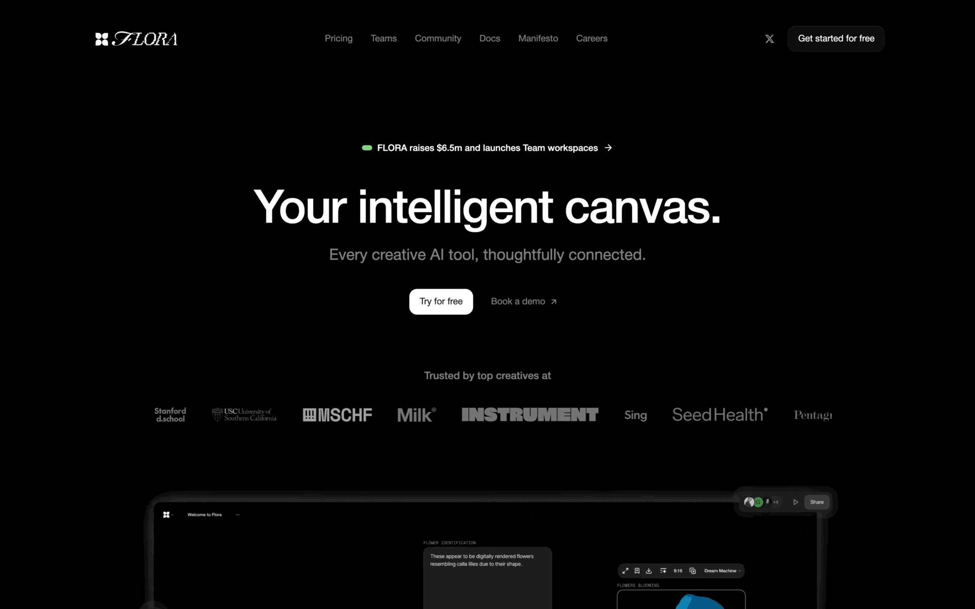 FLORA Web AI interface screenshot 1