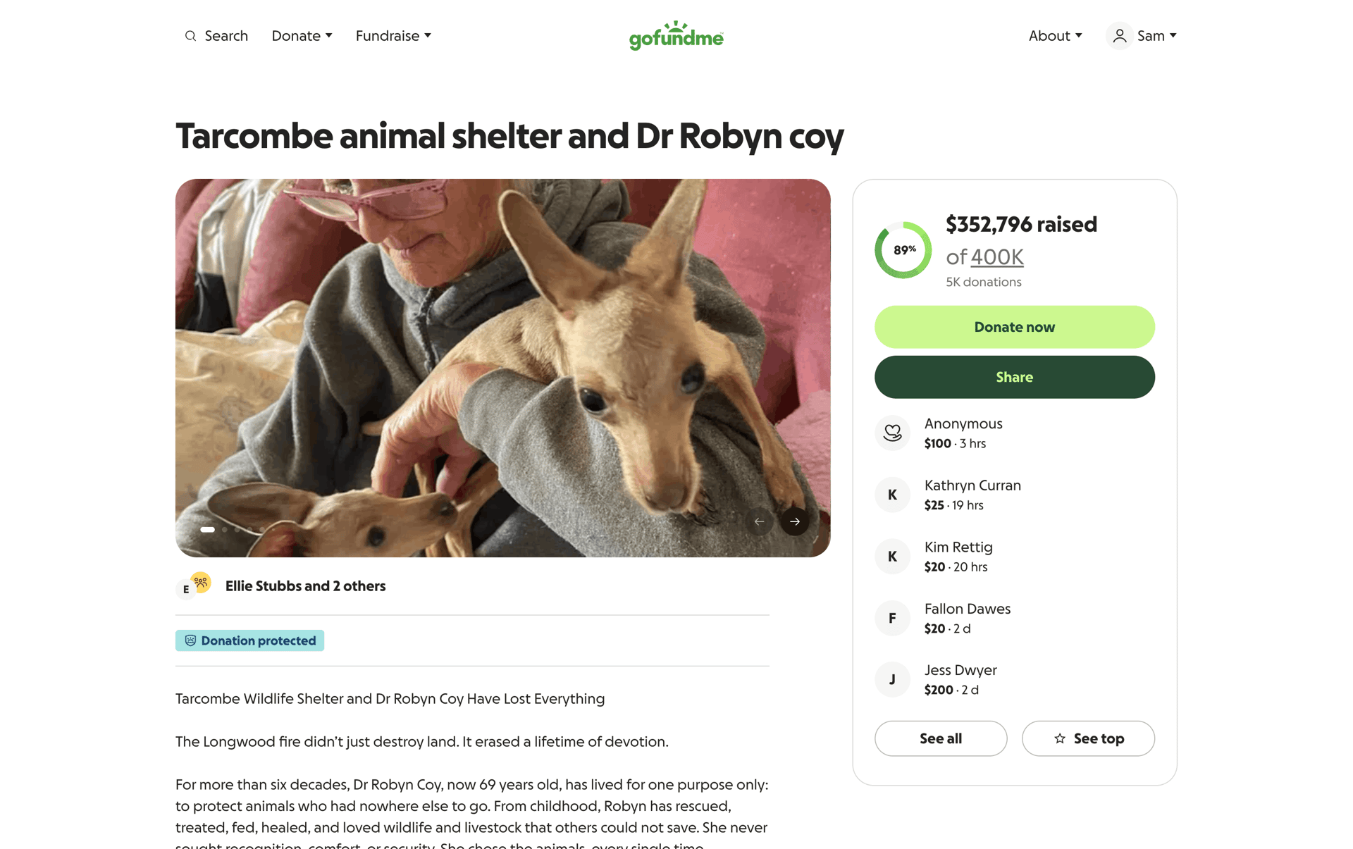 GoFundMe Web Finance interface screenshot 7