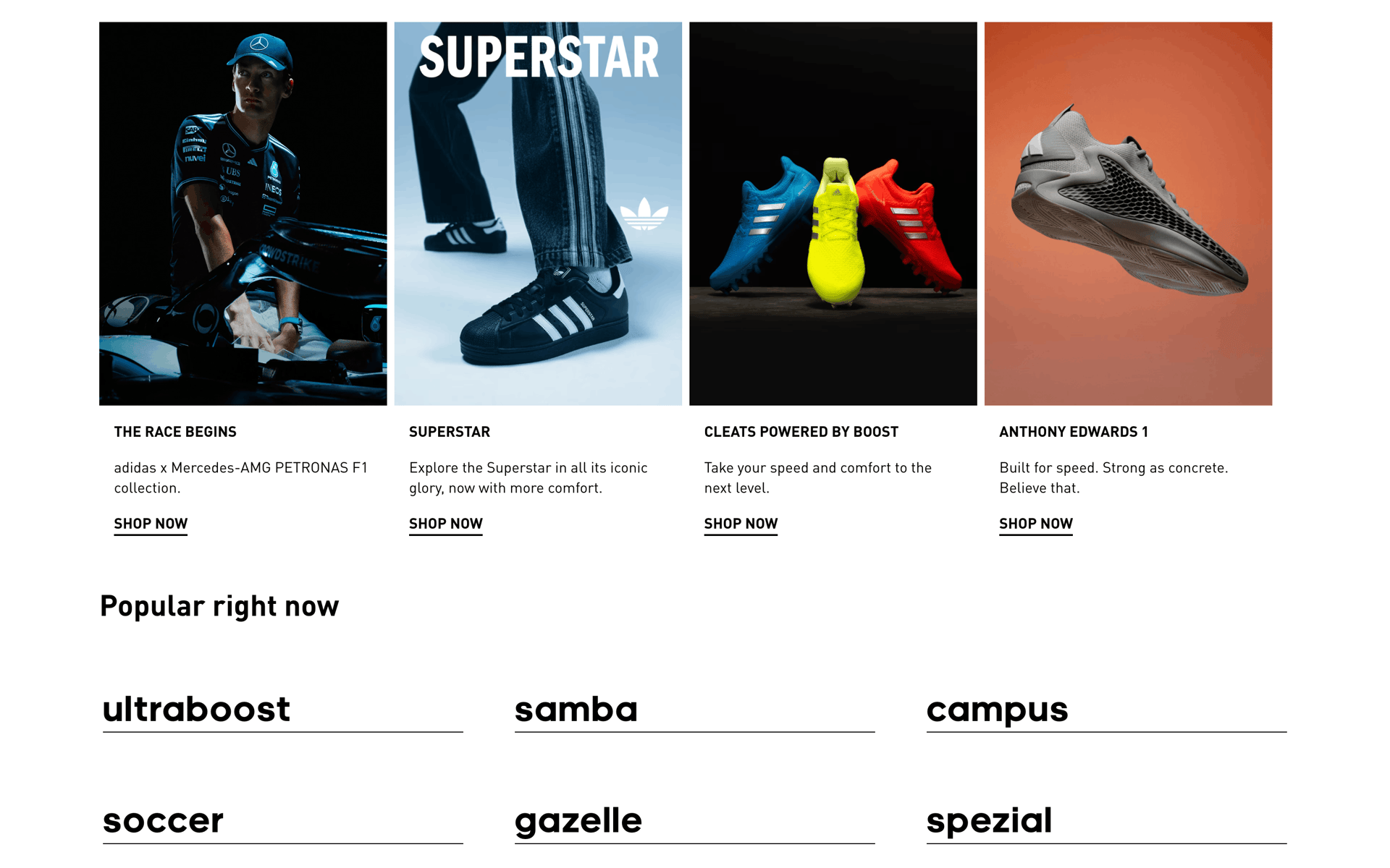 adidas Web Sports interface screenshot 18