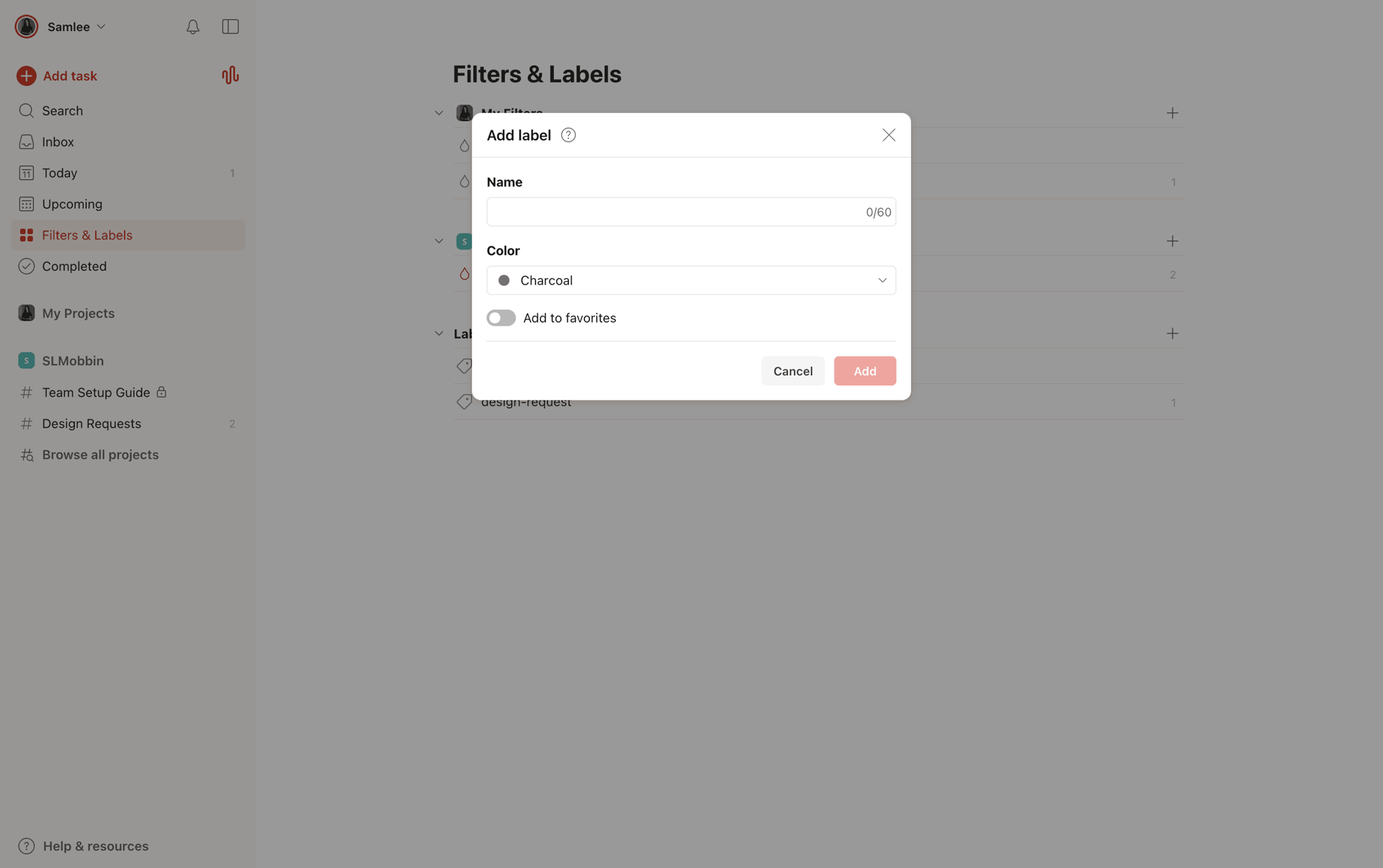 Todoist Web Collaboration interface screenshot 19