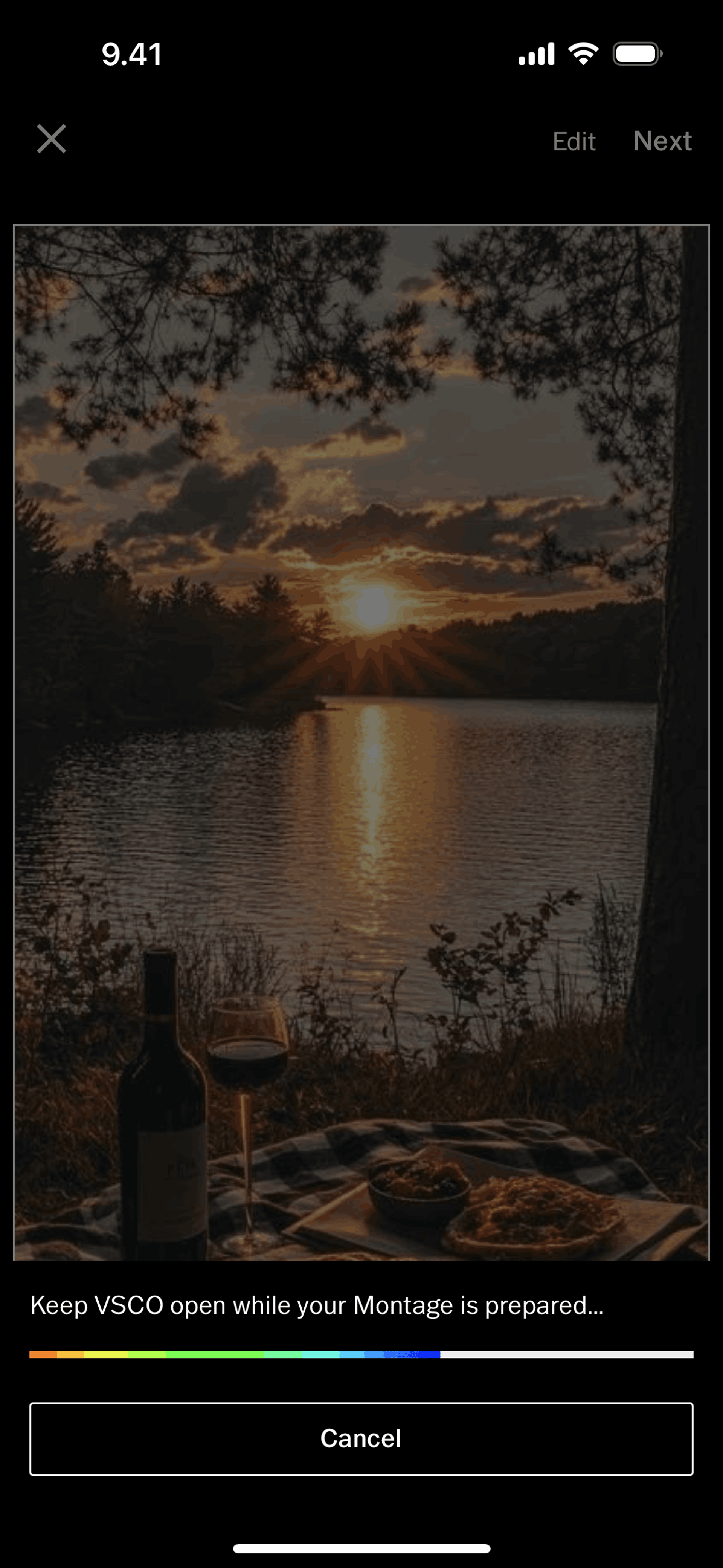 VSCO iOS Photo & Video interface screenshot 10