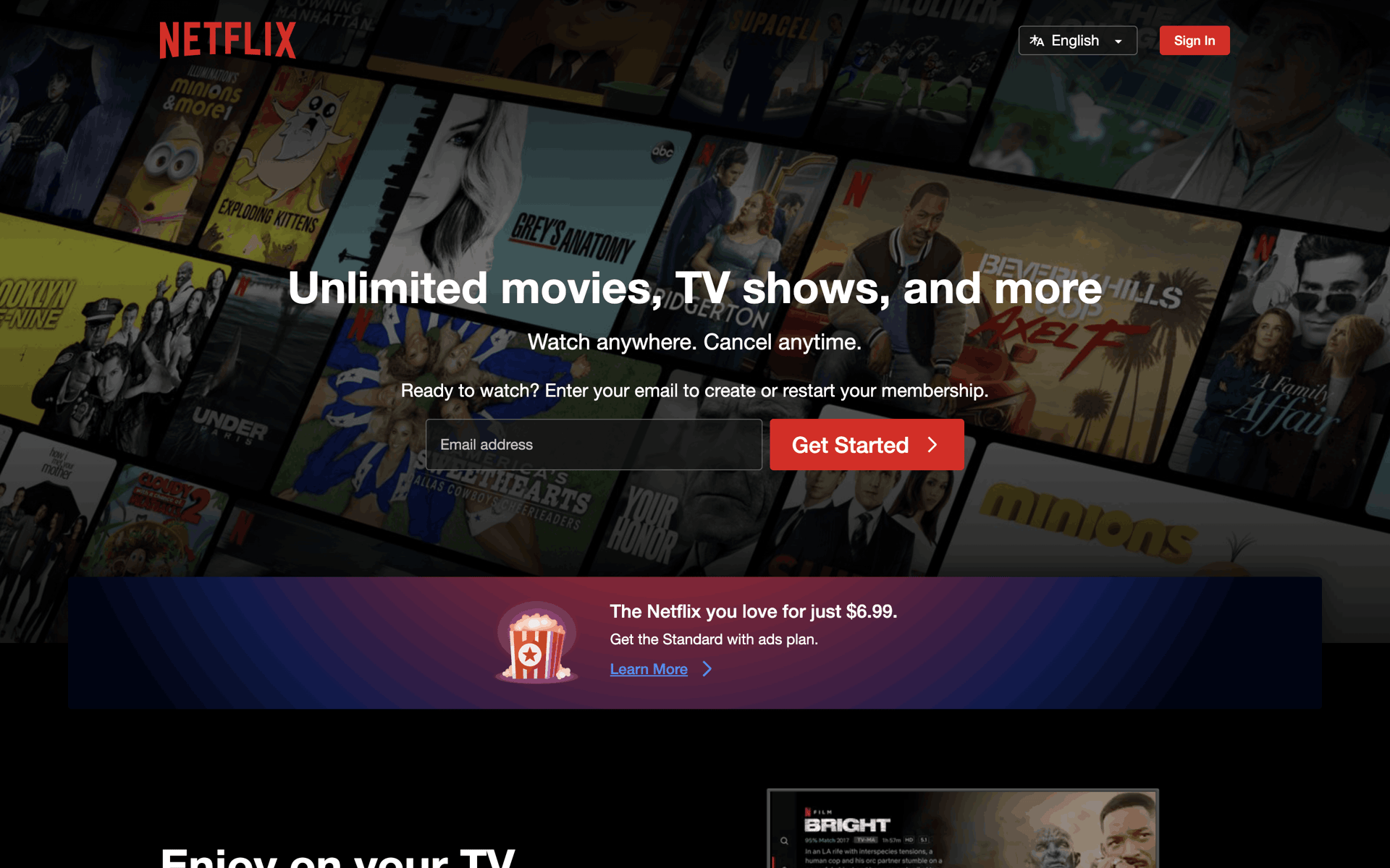 Netflix Web Entertainment interface screenshot 1