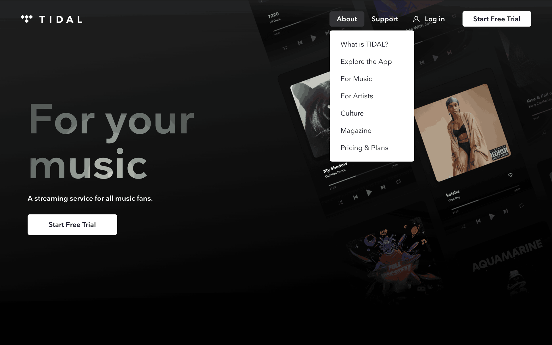 TIDAL Web Music & Audio interface screenshot 21