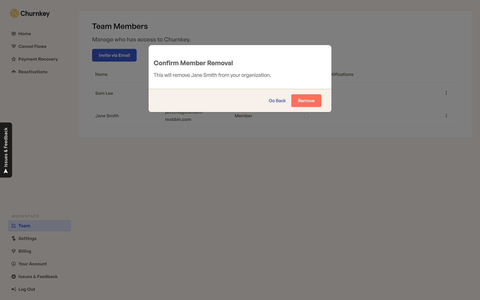 Churnkey Web Business interface screenshot 24