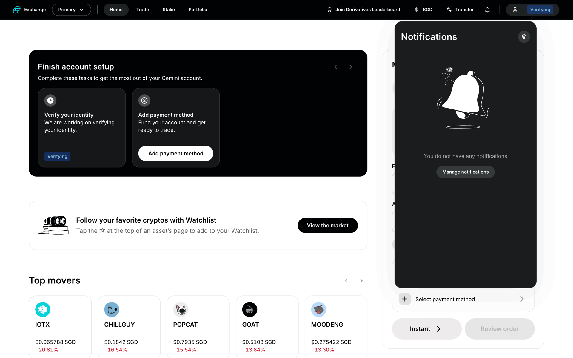 Gemini Web Finance interface screenshot 21