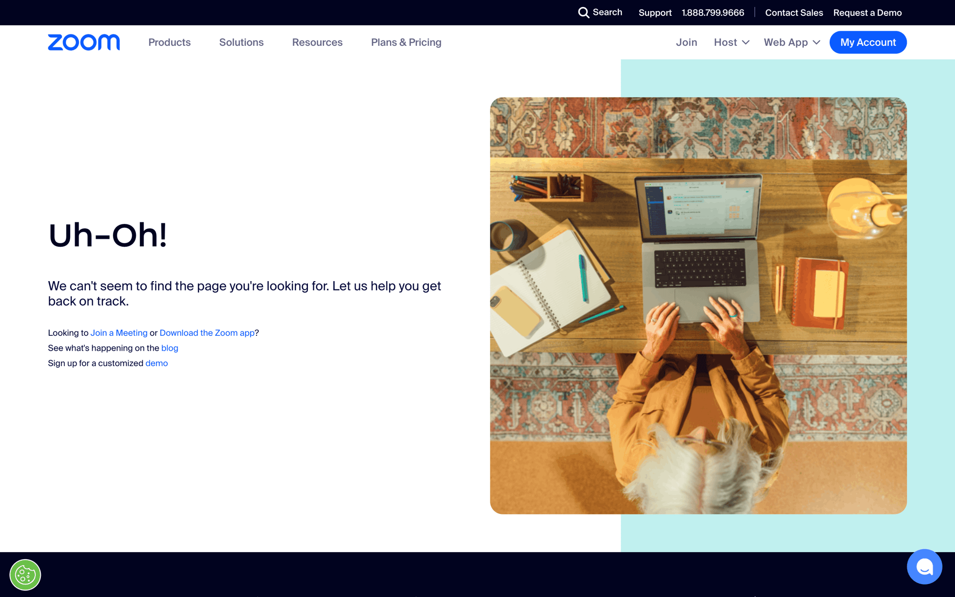 Zoom Web Business interface screenshot 2