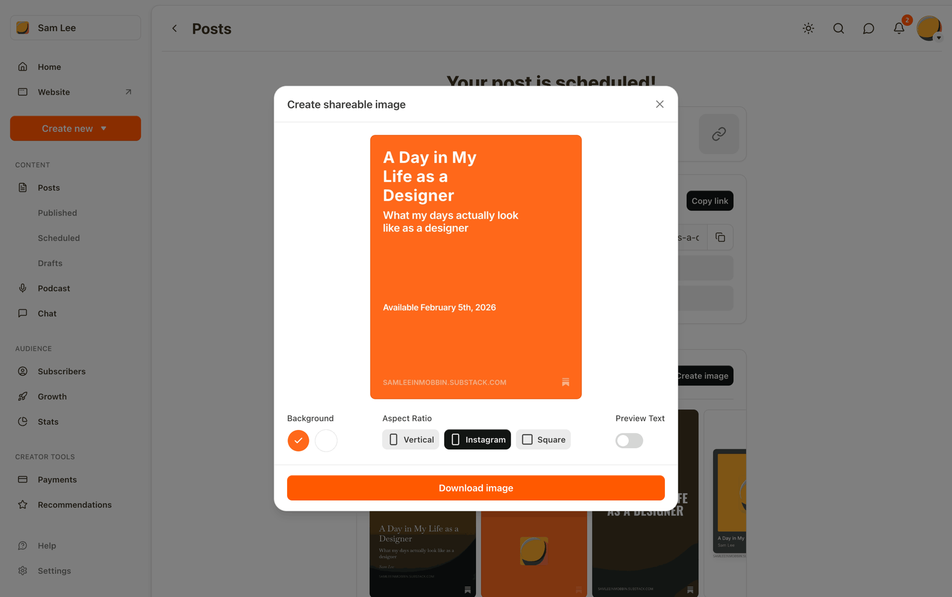 Substack Web News interface screenshot 15