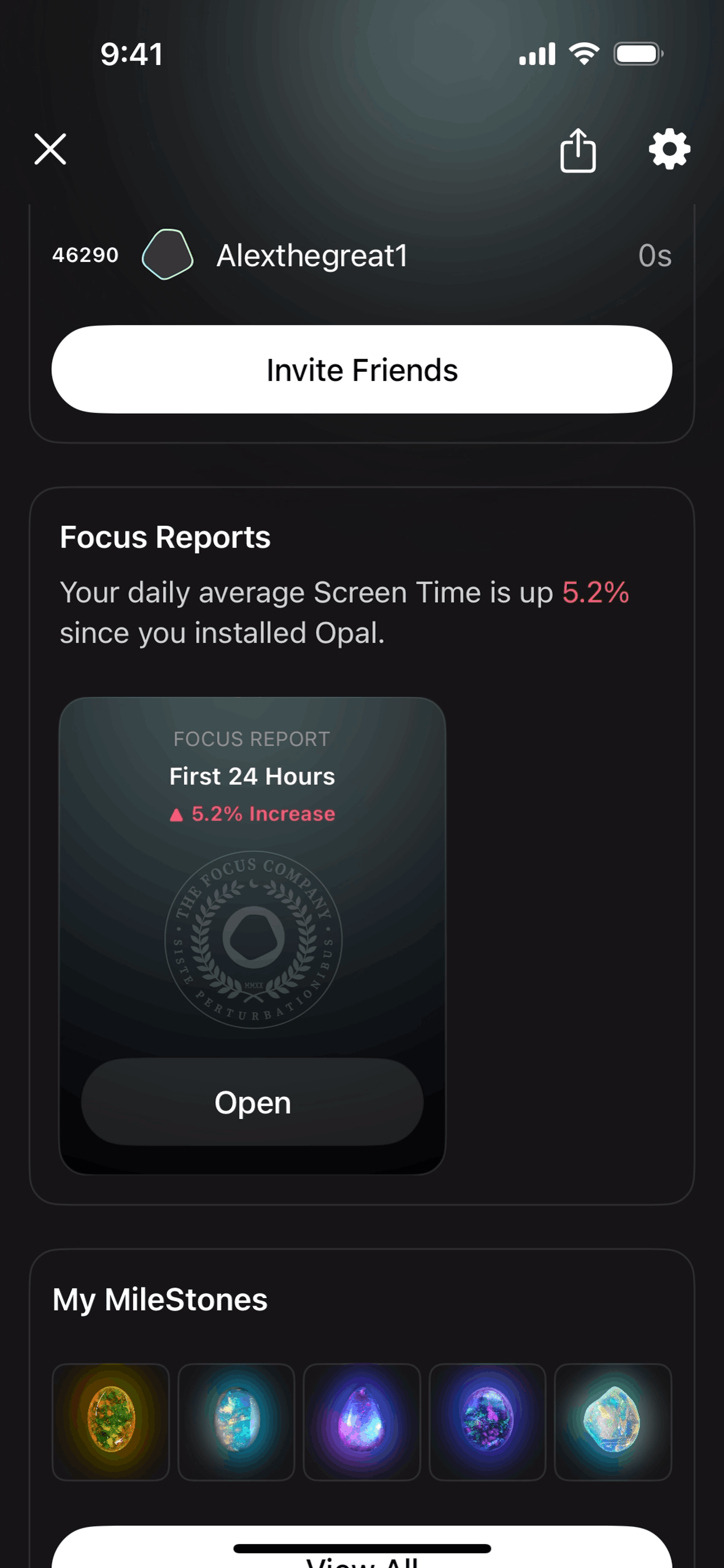 Opal iOS Productivity interface screenshot 4