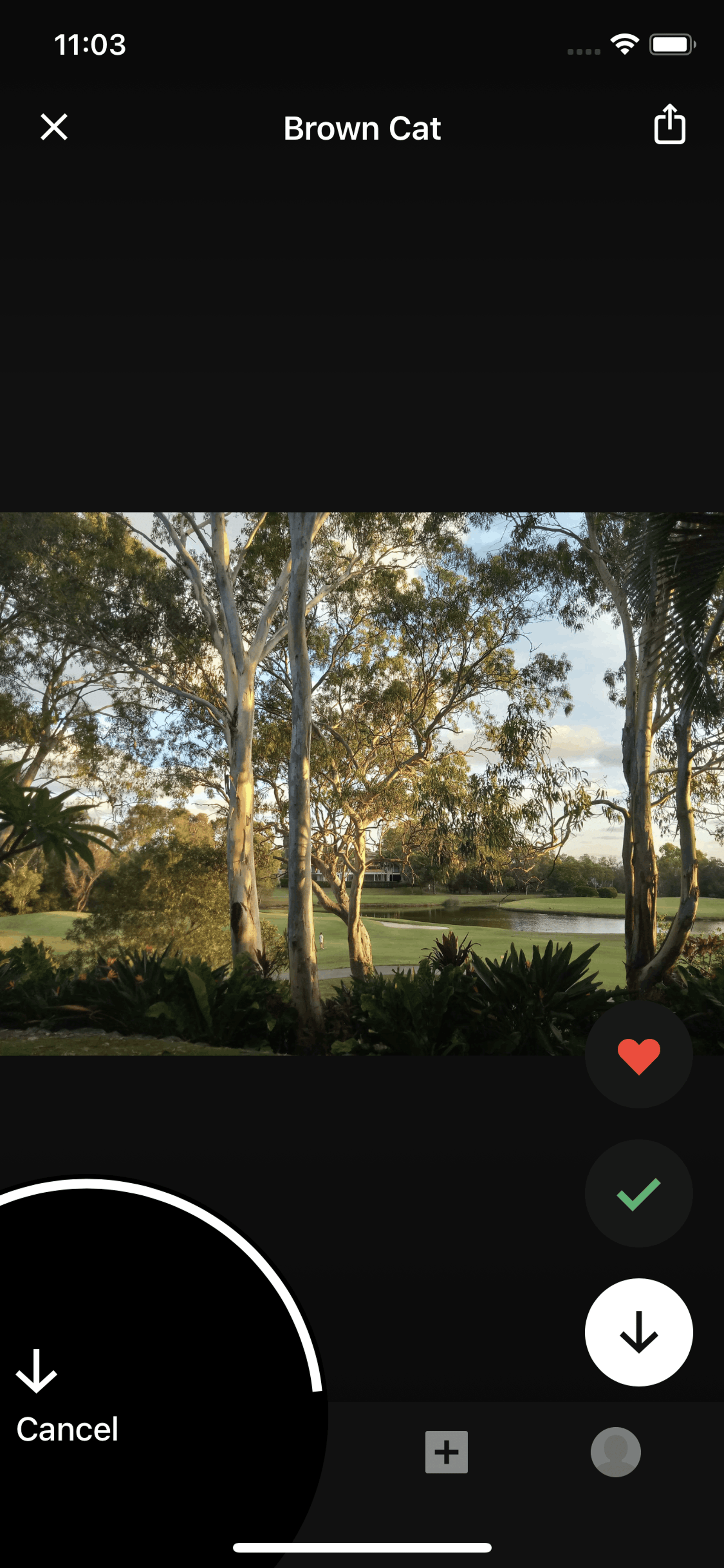 Unsplash iOS Photo & Video interface screenshot 23