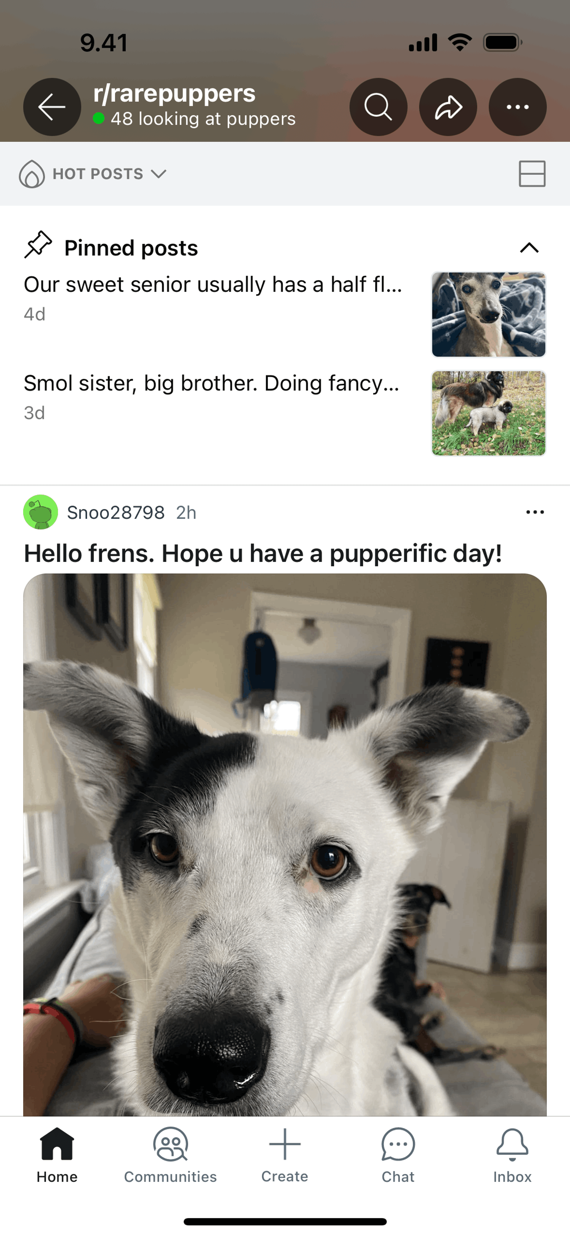 Reddit iOS Social Networking interface screenshot 2