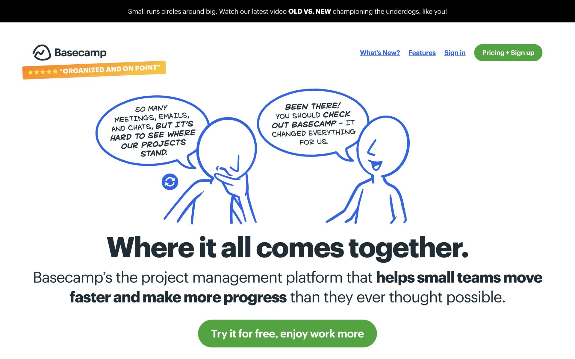 Basecamp Web Business interface screenshot 1