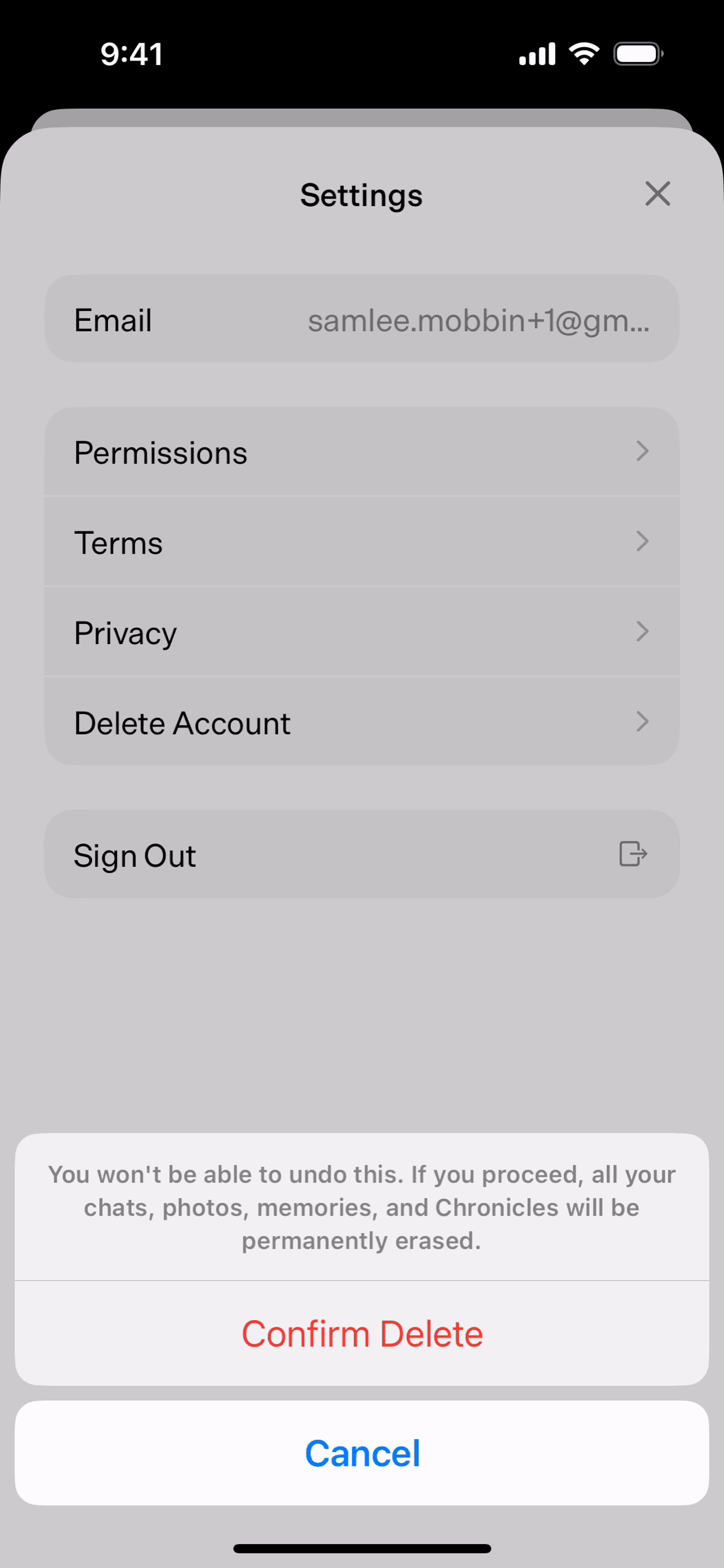 Dot iOS AI interface screenshot 17