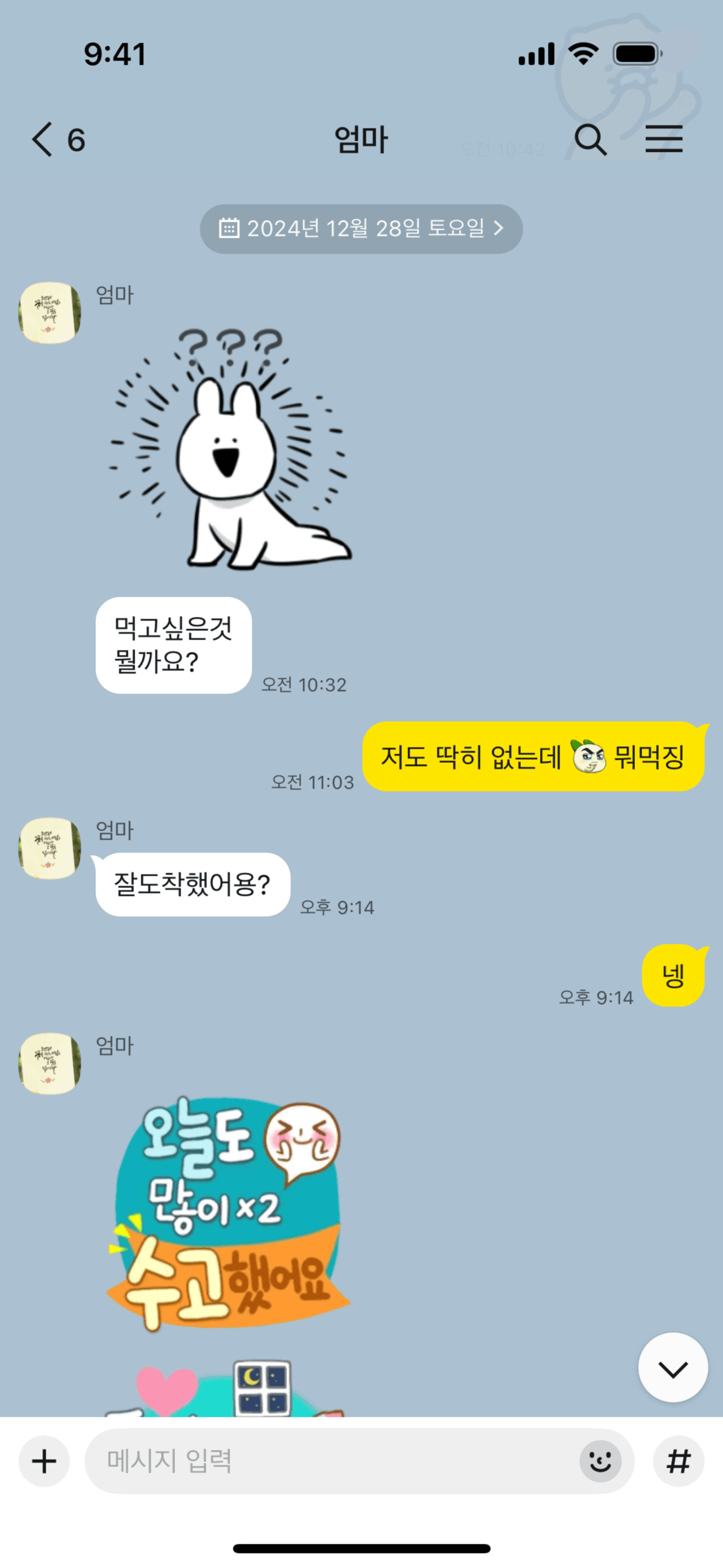 KakaoTalk iOS Social Networking interface screenshot 12