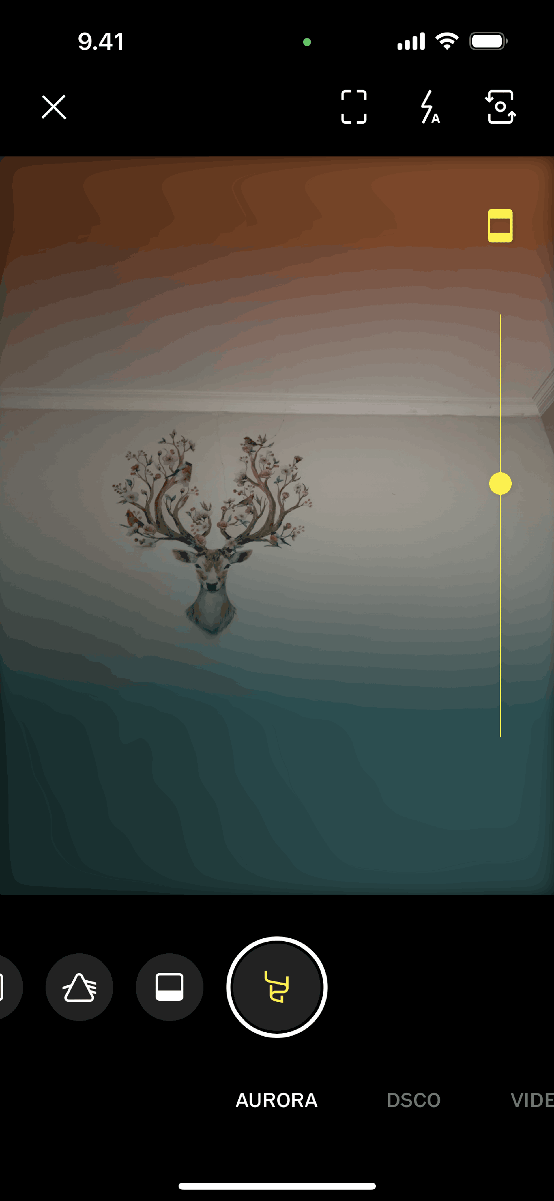 VSCO iOS Photo & Video interface screenshot 14