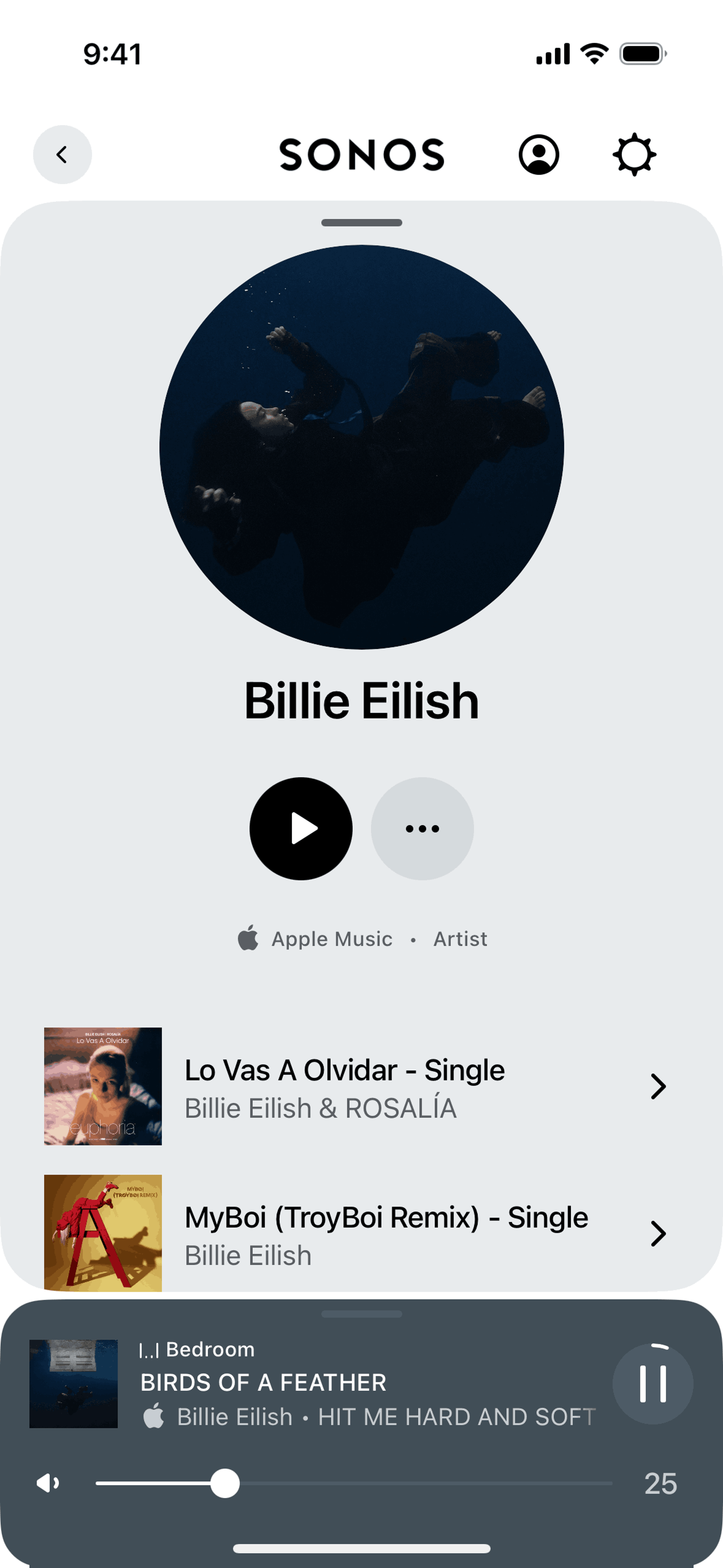 Artist detail on Sonos (ios) screen 2
