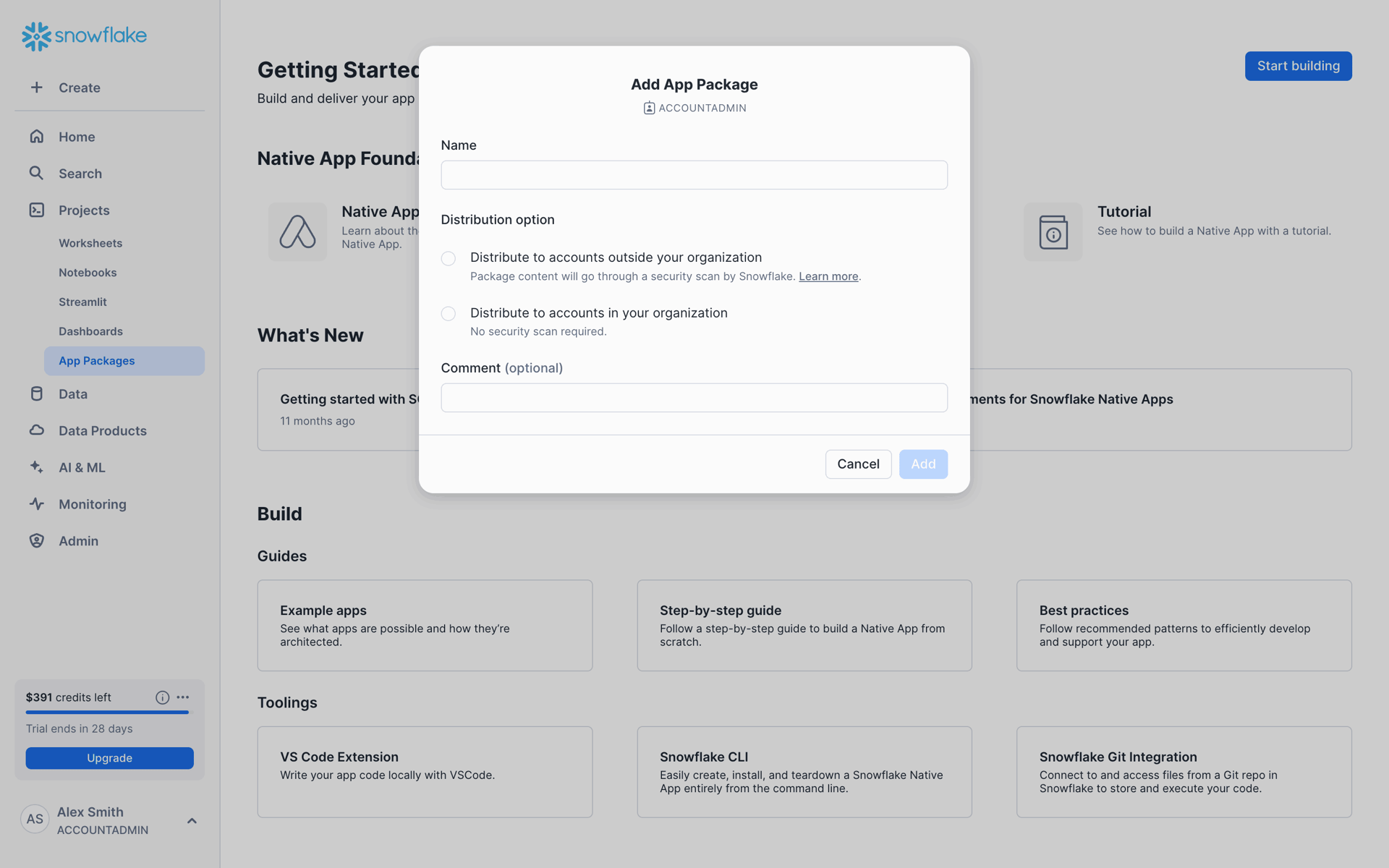 Snowflake Web Developer Tools interface screenshot 9