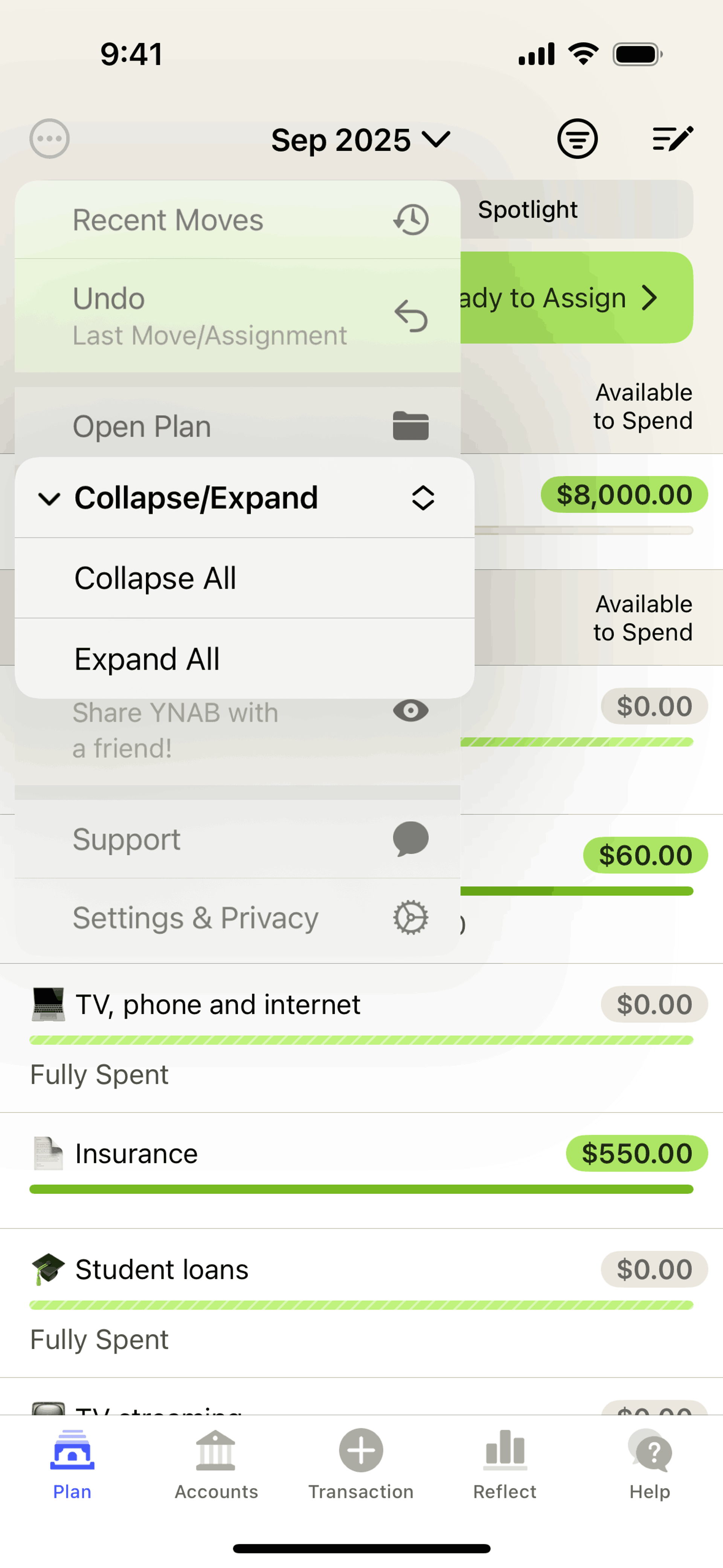 YNAB iOS Finance interface screenshot 10