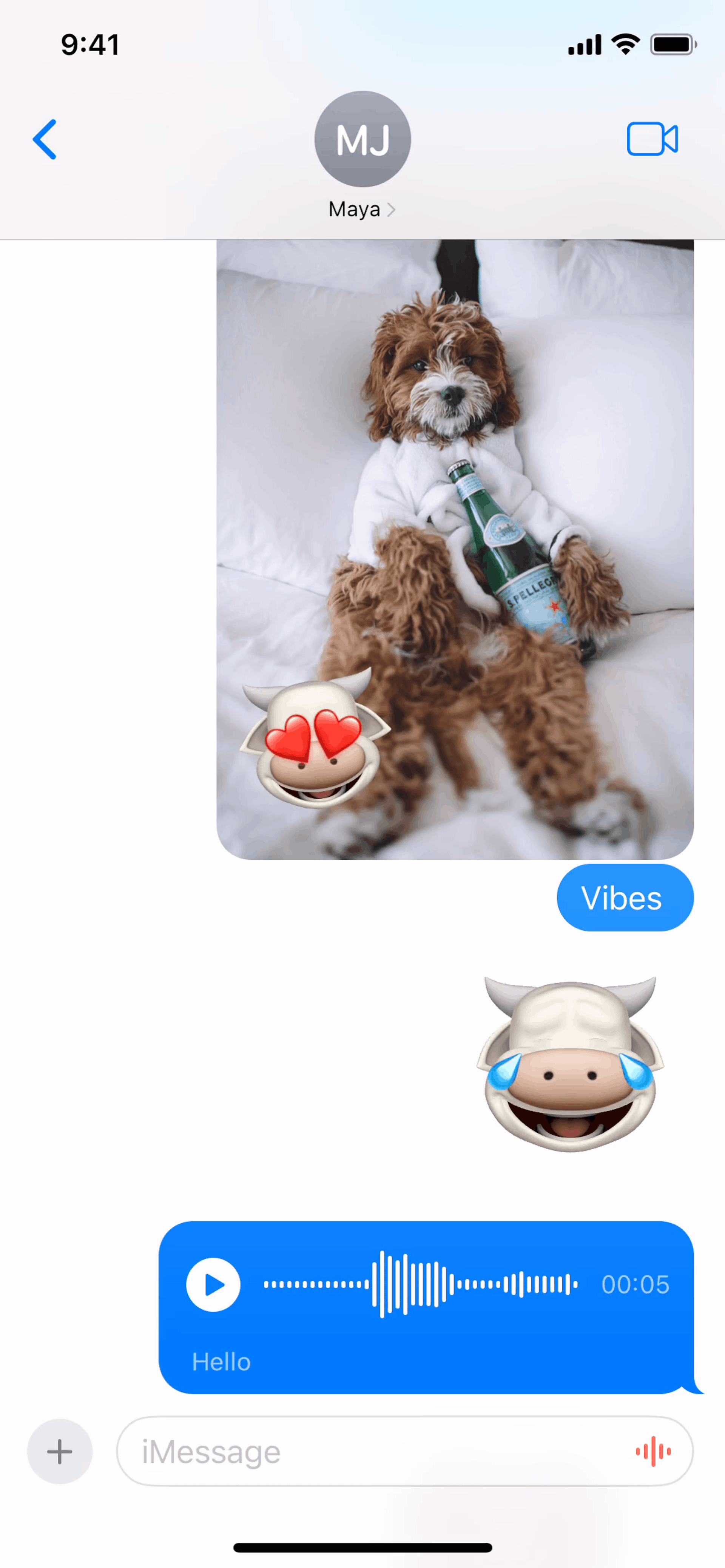 Messages iOS Social Networking interface screenshot 5