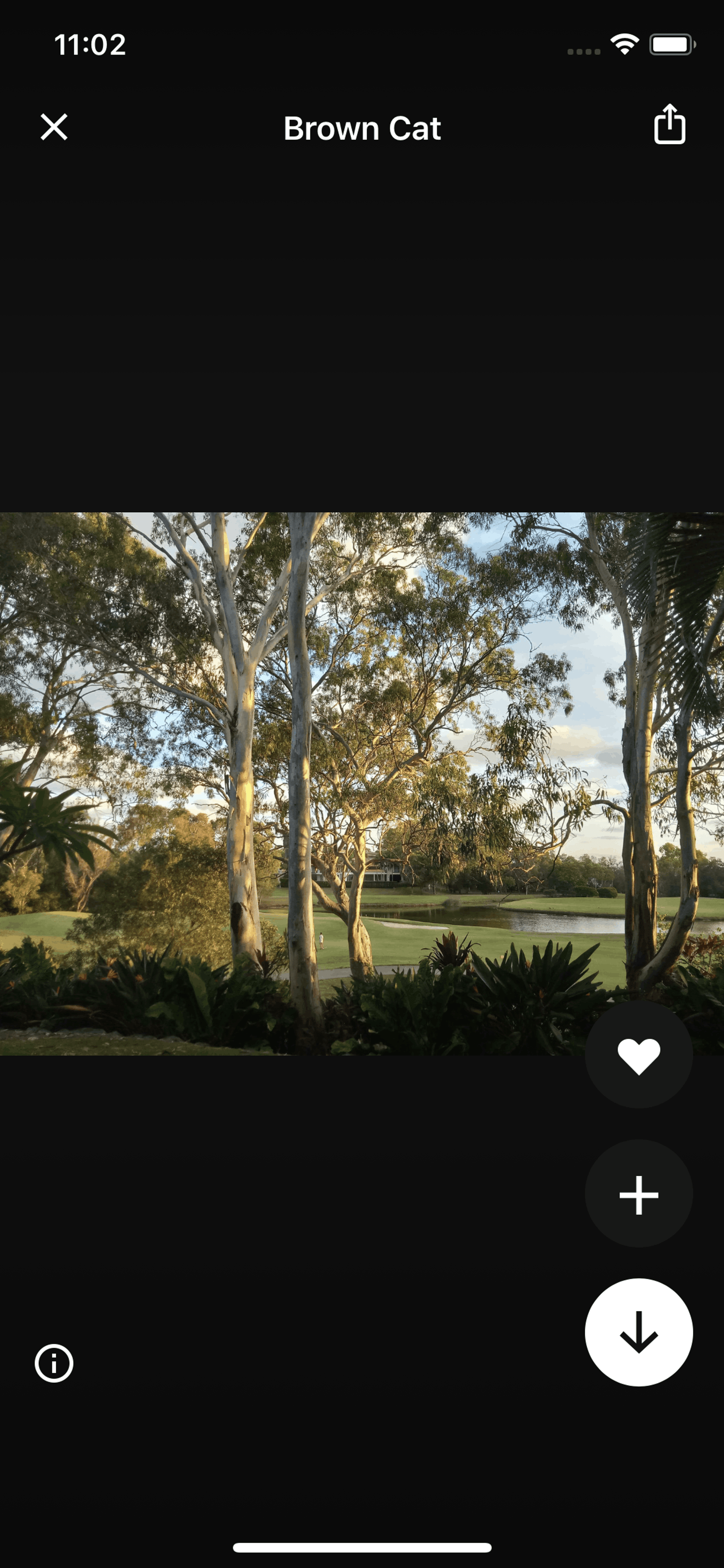 Unsplash iOS Photo & Video interface screenshot 15