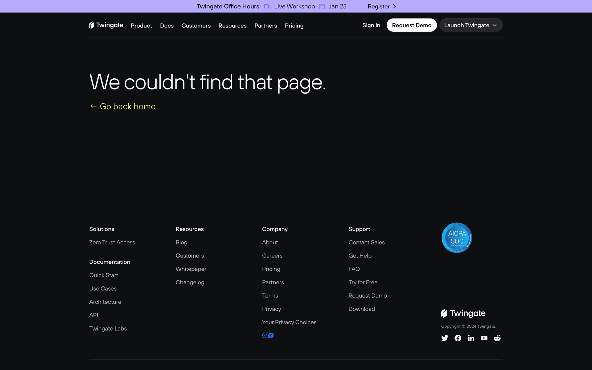 Twingate Web Developer Tools interface screenshot 2