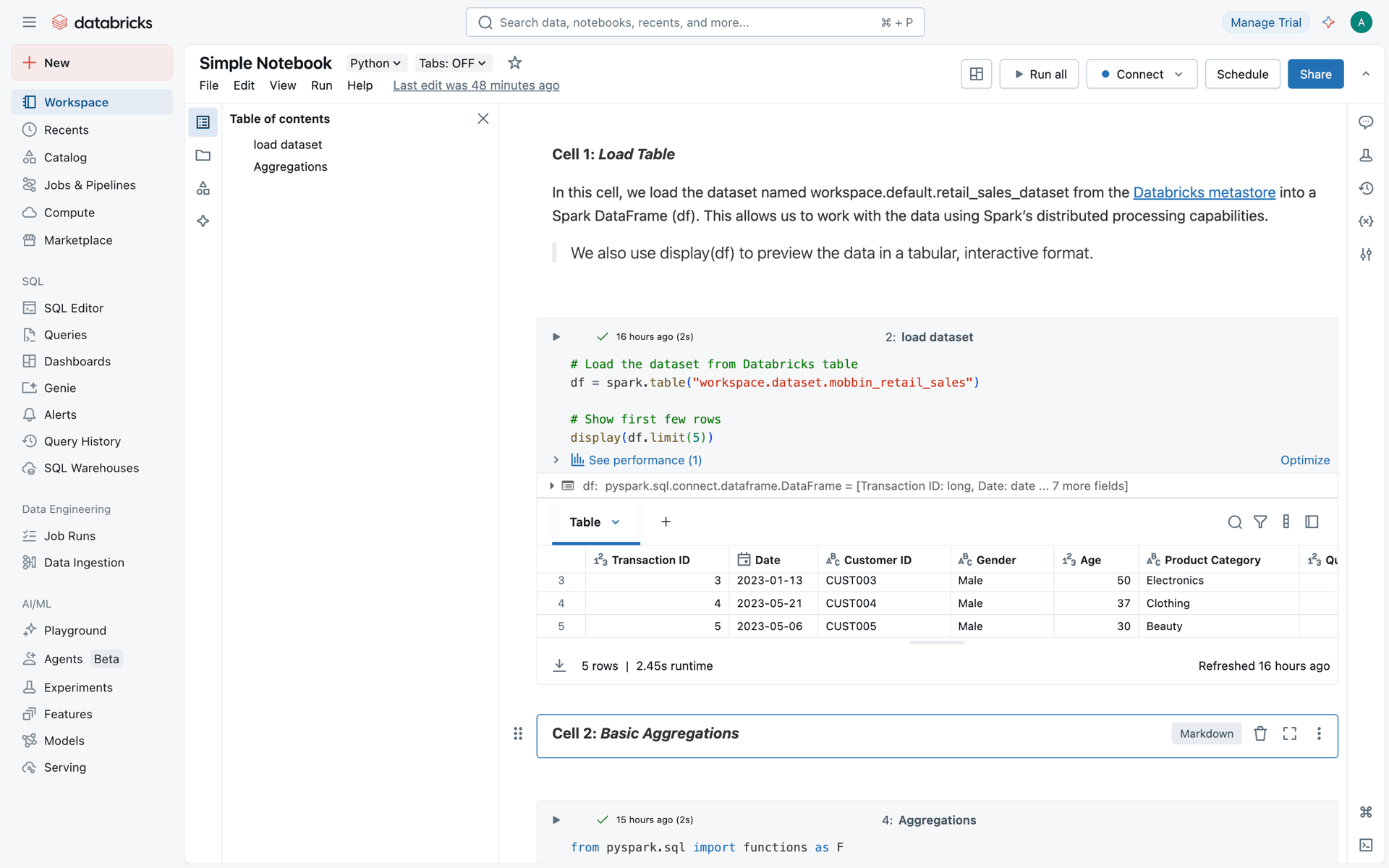 Databricks Web Developer Tools interface screenshot 23