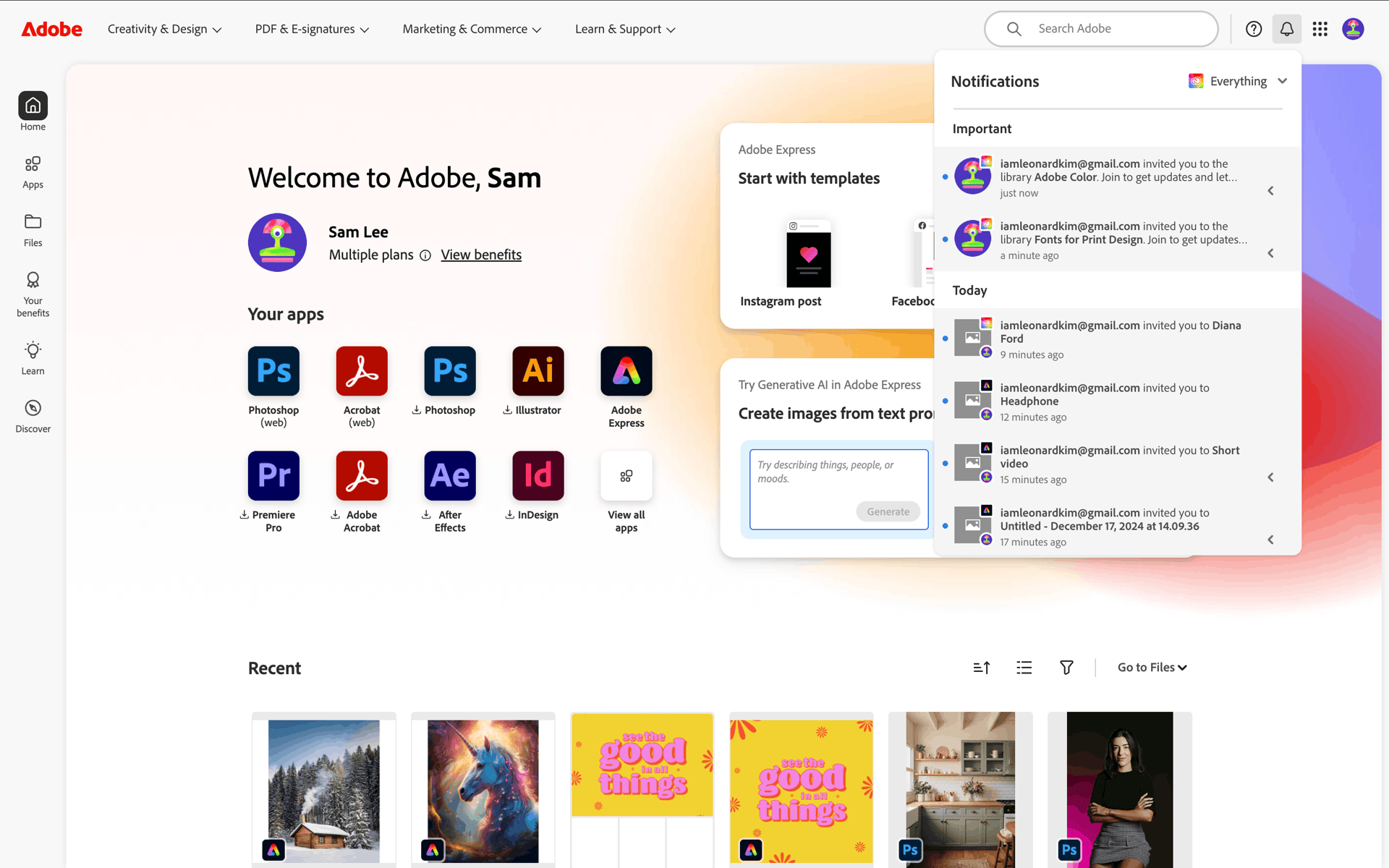 Adobe Web Business interface screenshot 7