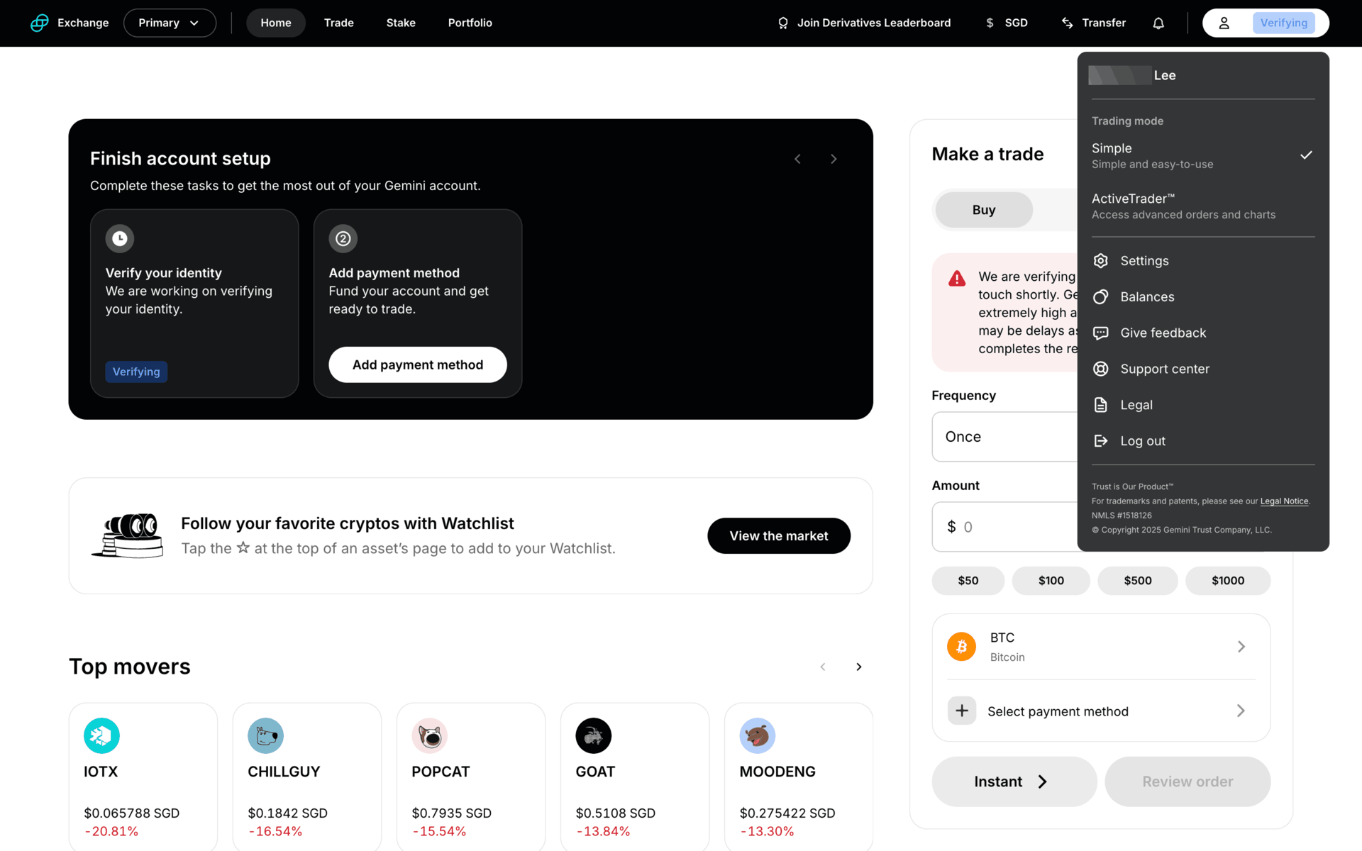 Gemini Web Finance interface screenshot 22