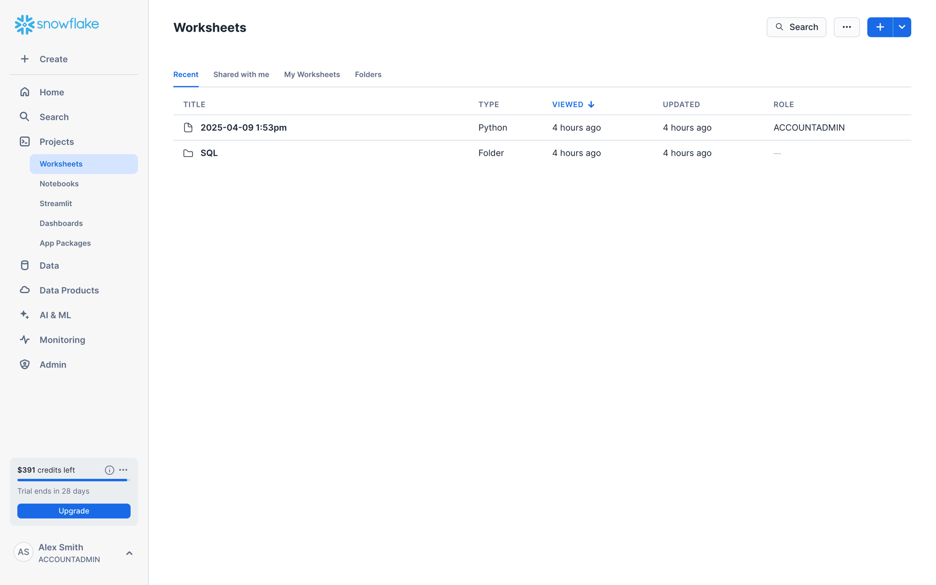 Snowflake Web Developer Tools interface screenshot 7