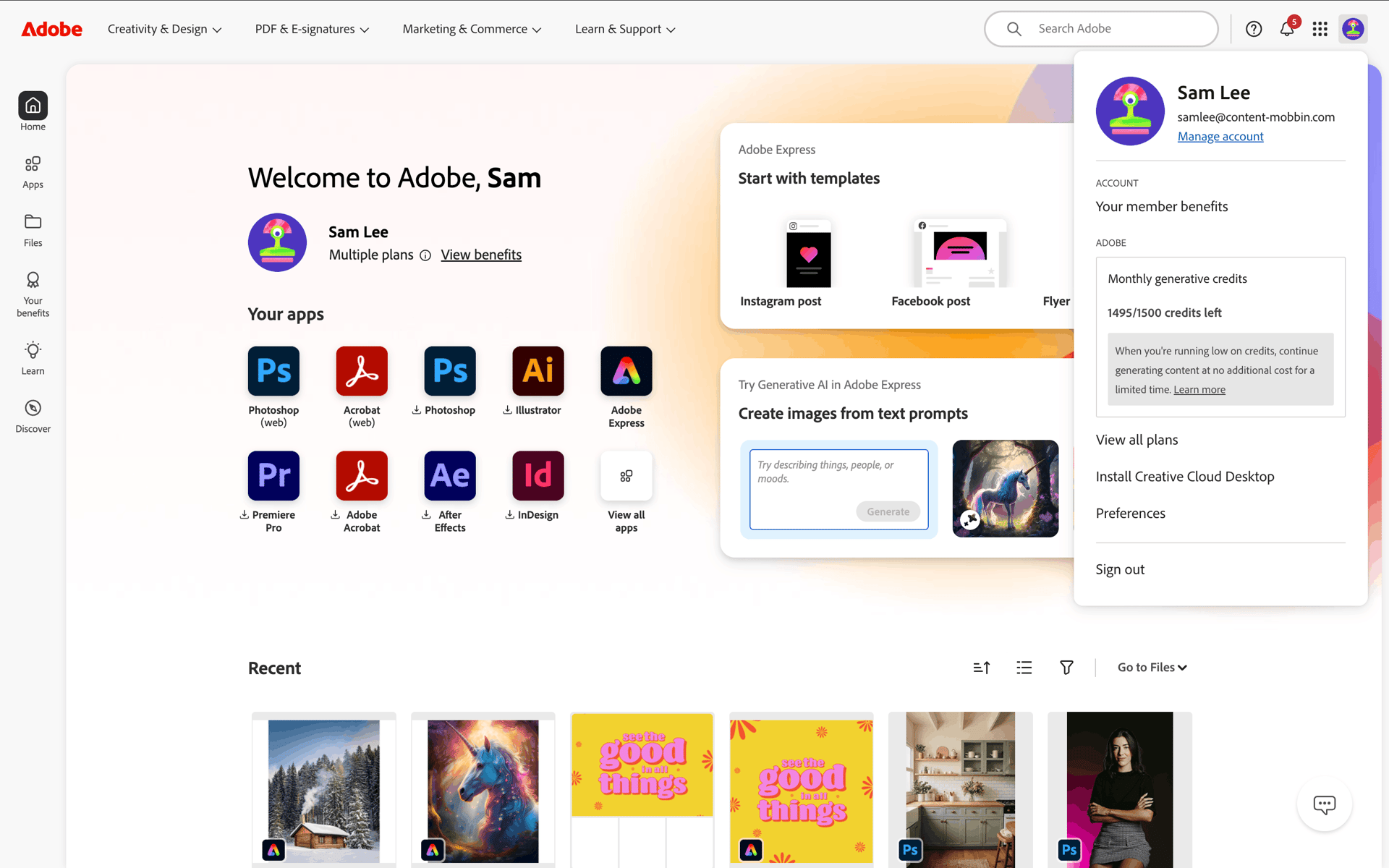 Adobe Web Business interface screenshot 9