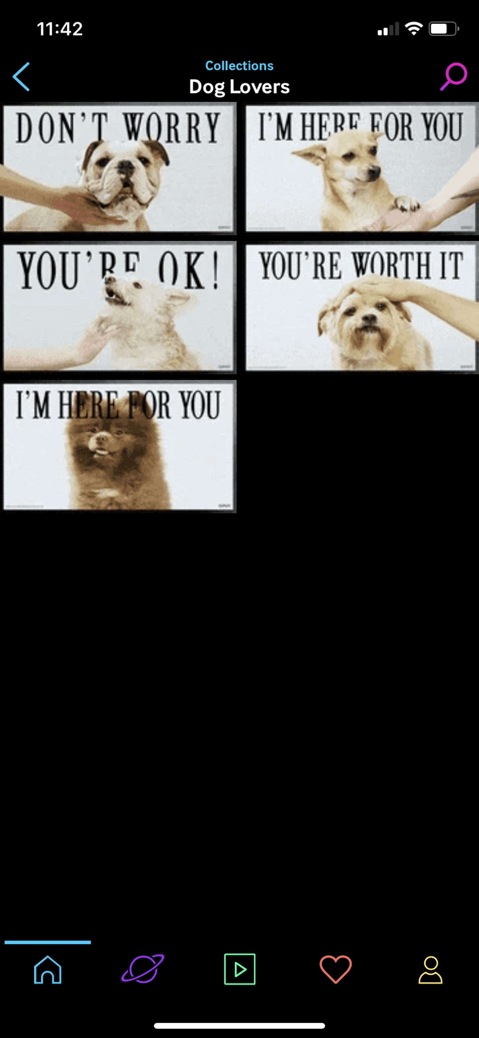 GIPHY iOS Photo & Video interface screenshot 10