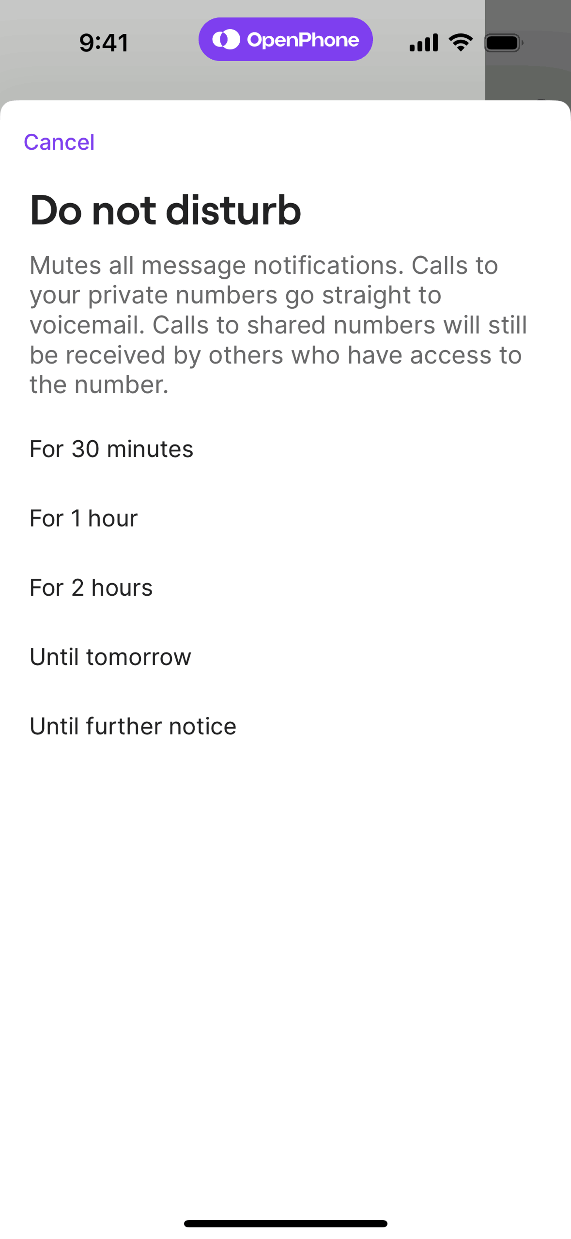 OpenPhone iOS Business interface screenshot 12