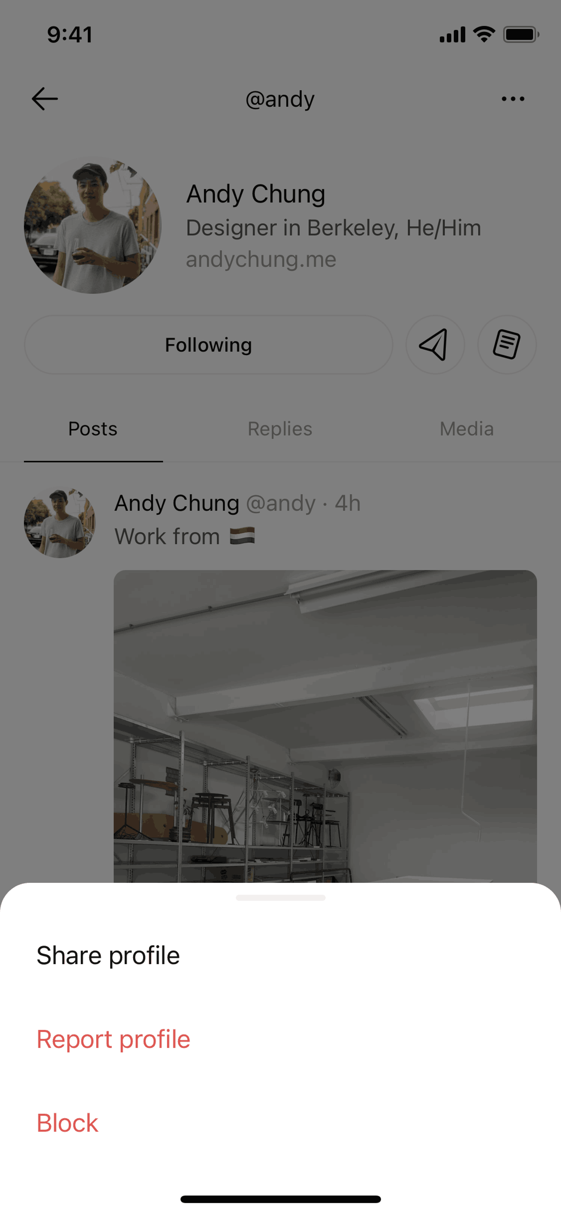 Posts iOS Social Networking interface screenshot 12