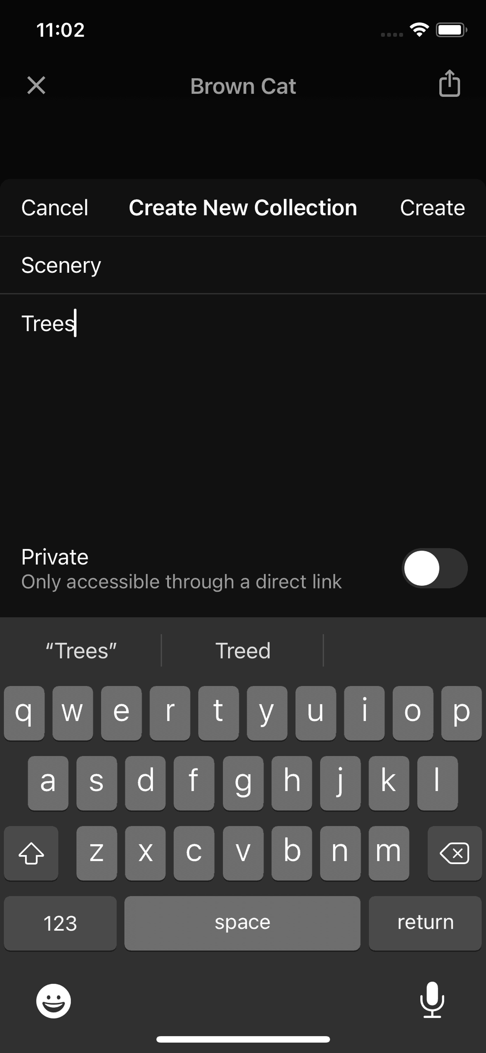 Unsplash iOS Photo & Video interface screenshot 19