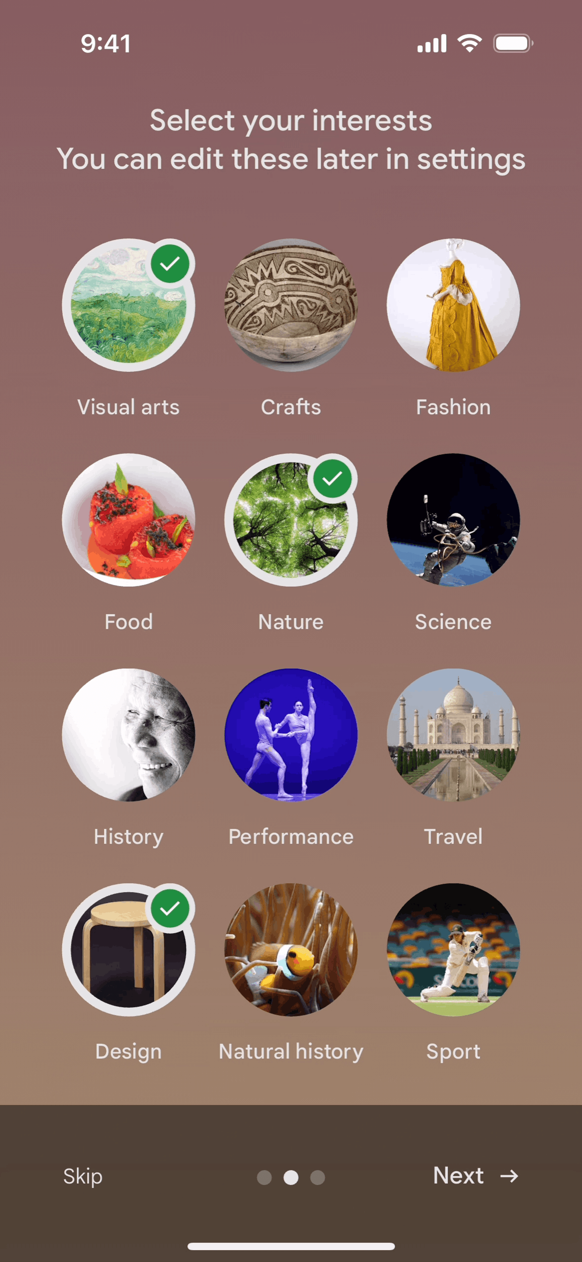 Google Arts & Culture iOS Education interface screenshot 6