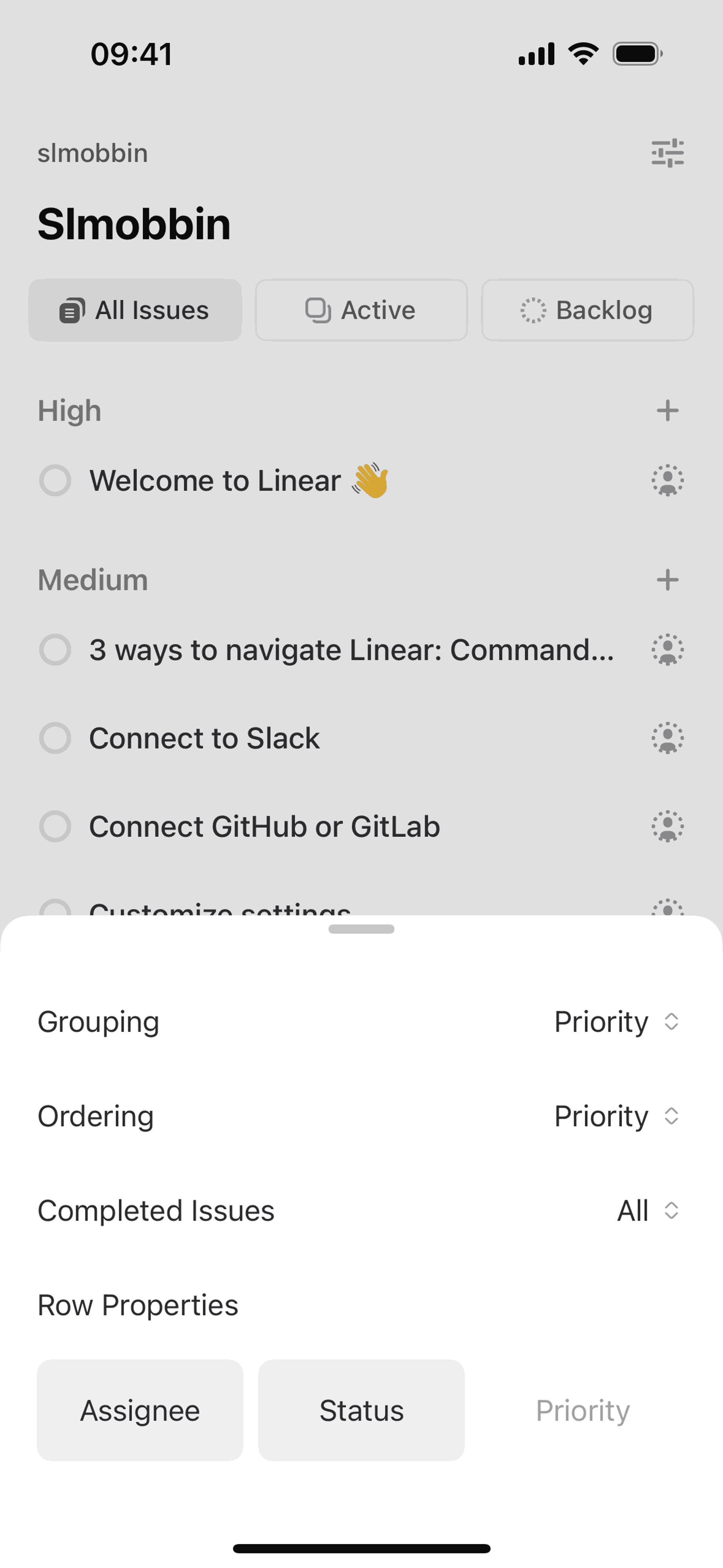 Linear iOS Developer Tools interface screenshot 22
