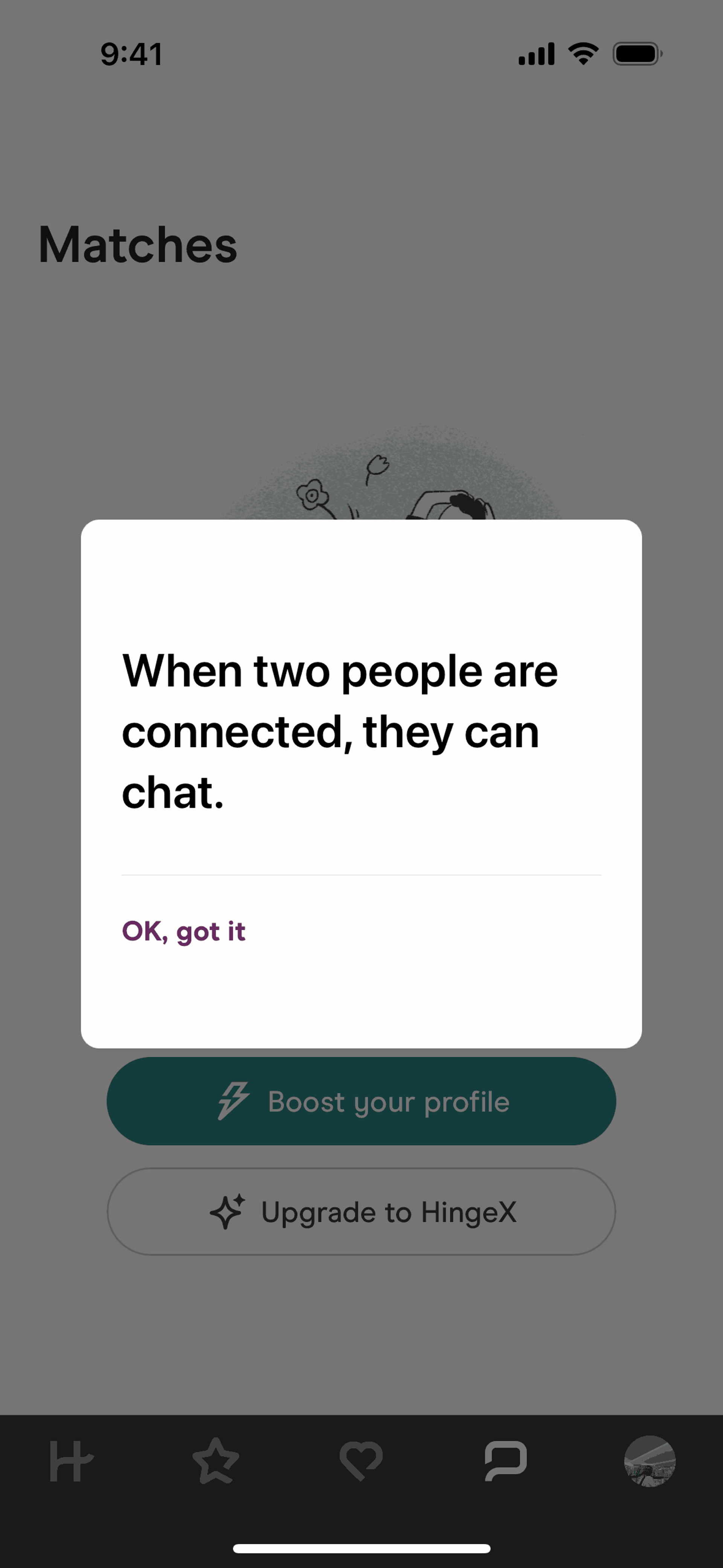 Hinge iOS Lifestyle interface screenshot 13