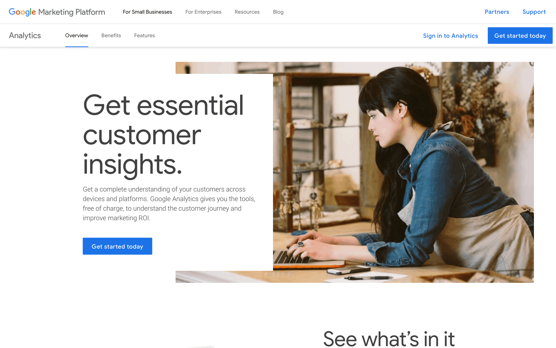 Google Analytics Web Business interface screenshot 1