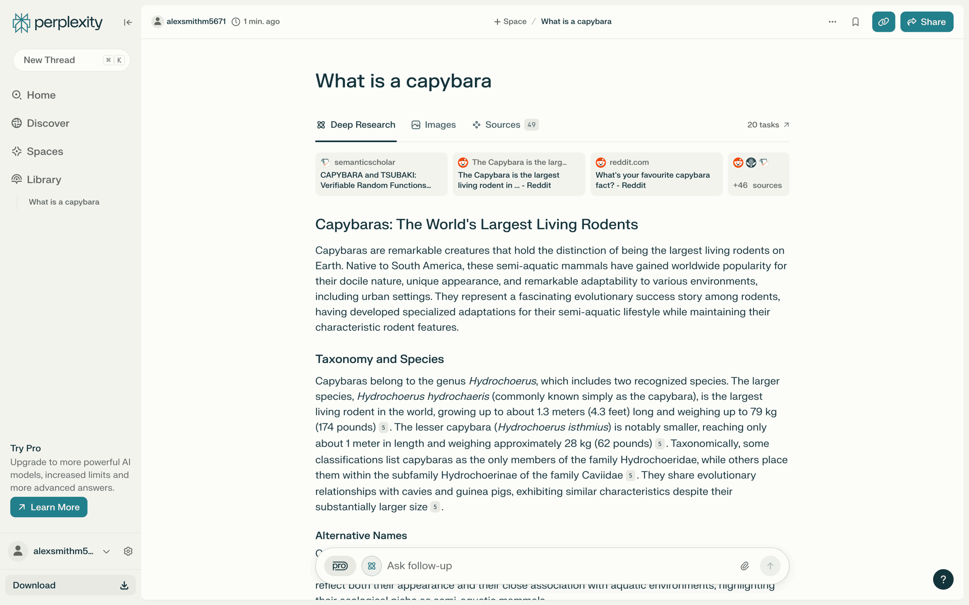 Perplexity Web AI interface screenshot 22