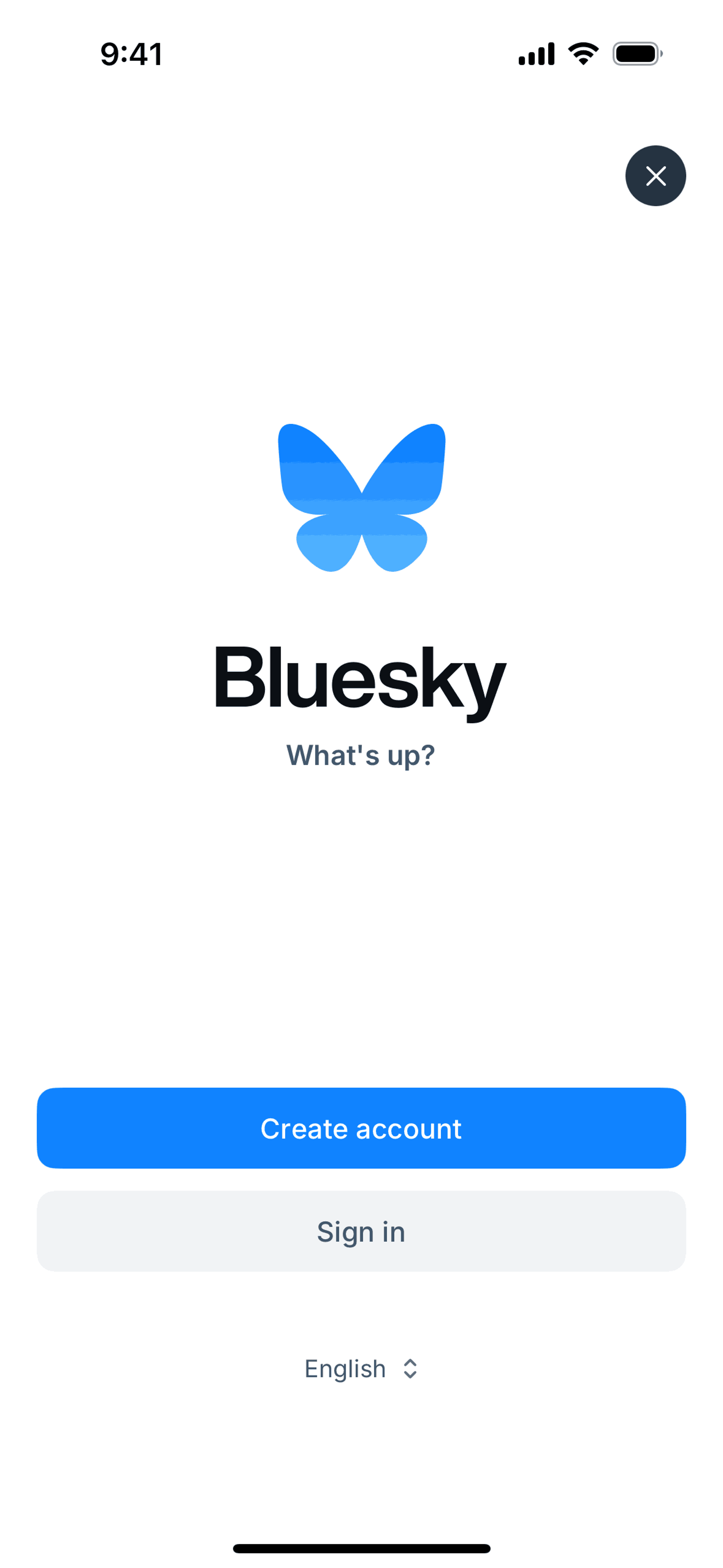 Bluesky Social iOS Social Networking interface screenshot 8