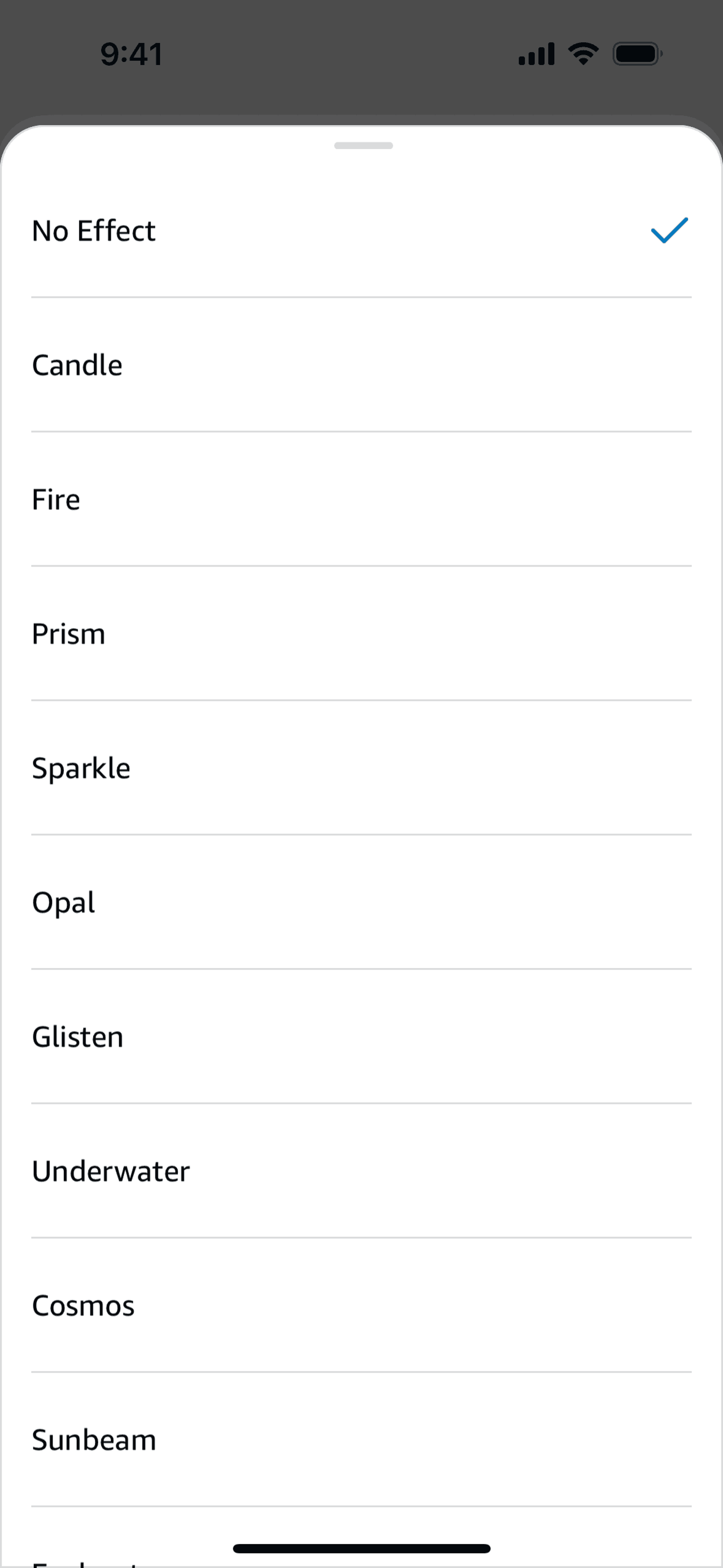 Amazon Alexa iOS Lifestyle interface screenshot 12