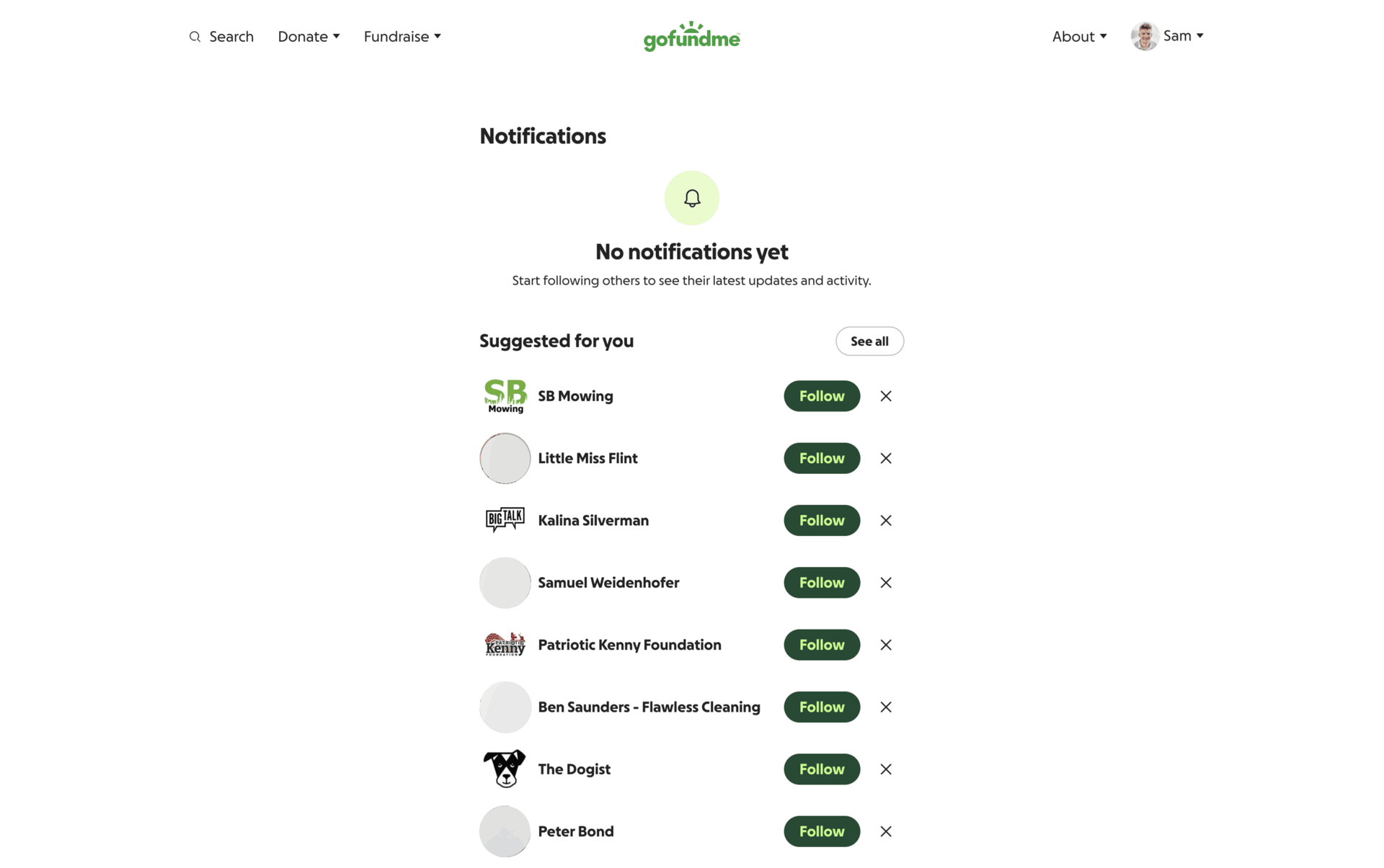 GoFundMe Web Finance interface screenshot 16