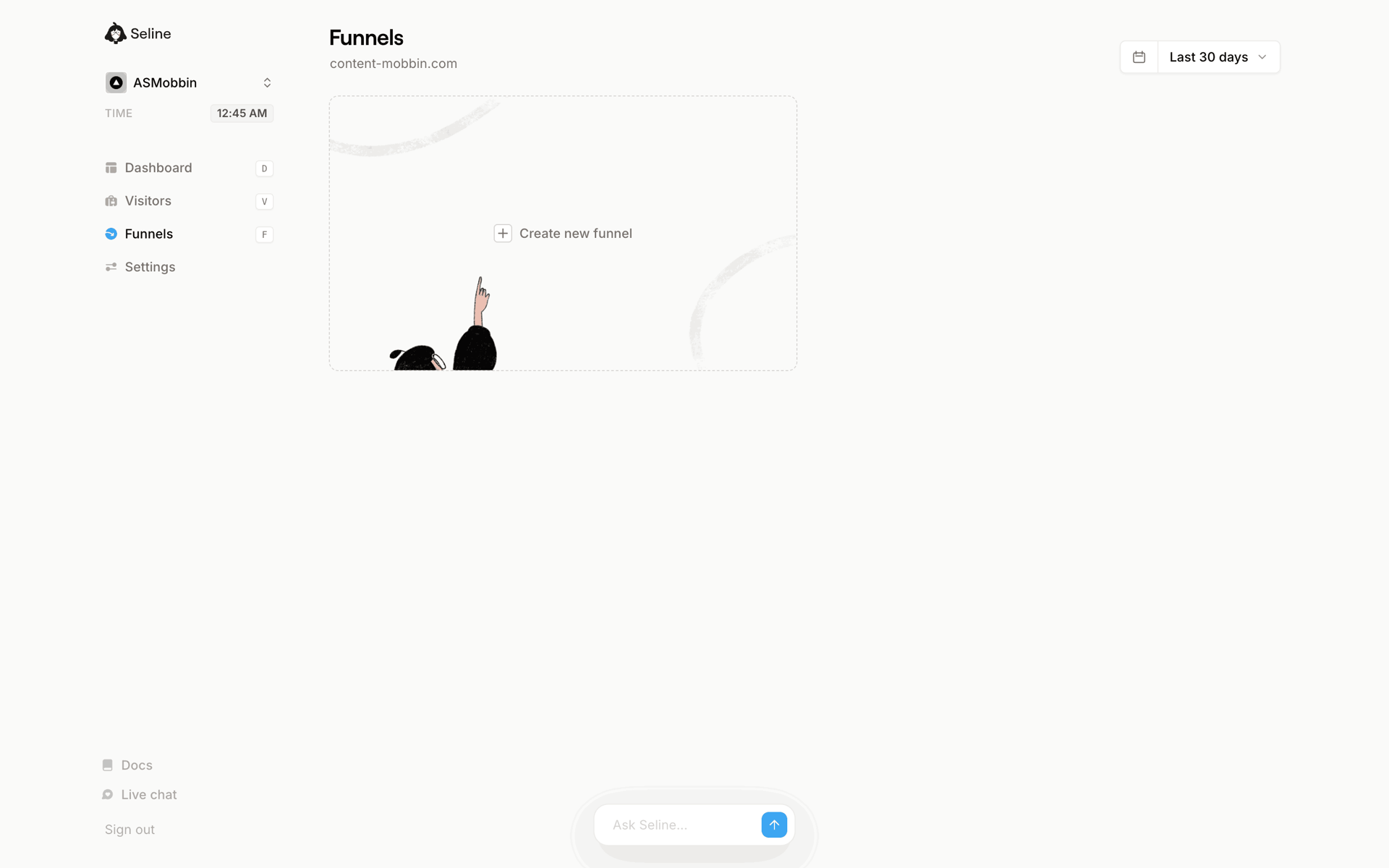 Seline Web Developer Tools interface screenshot 13