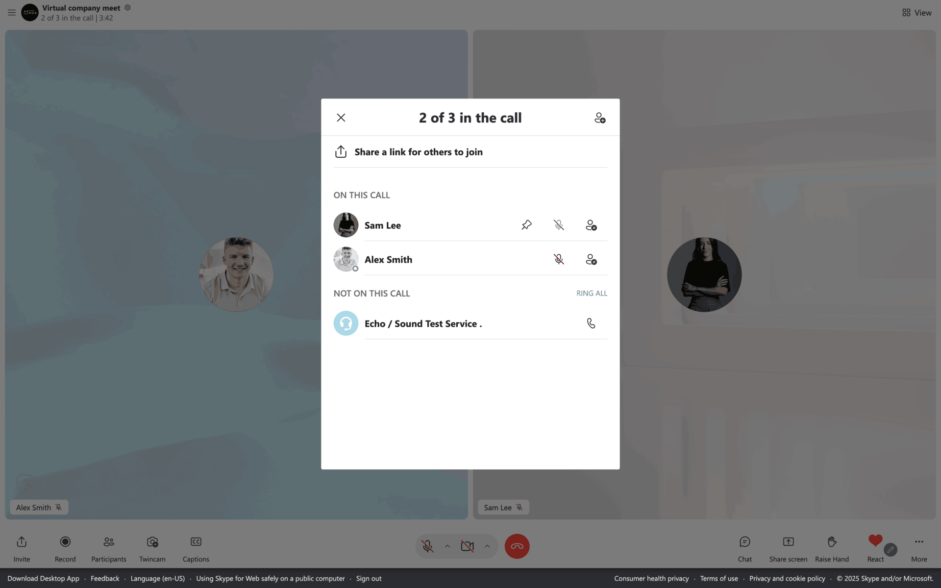Skype Web Social Networking interface screenshot 4