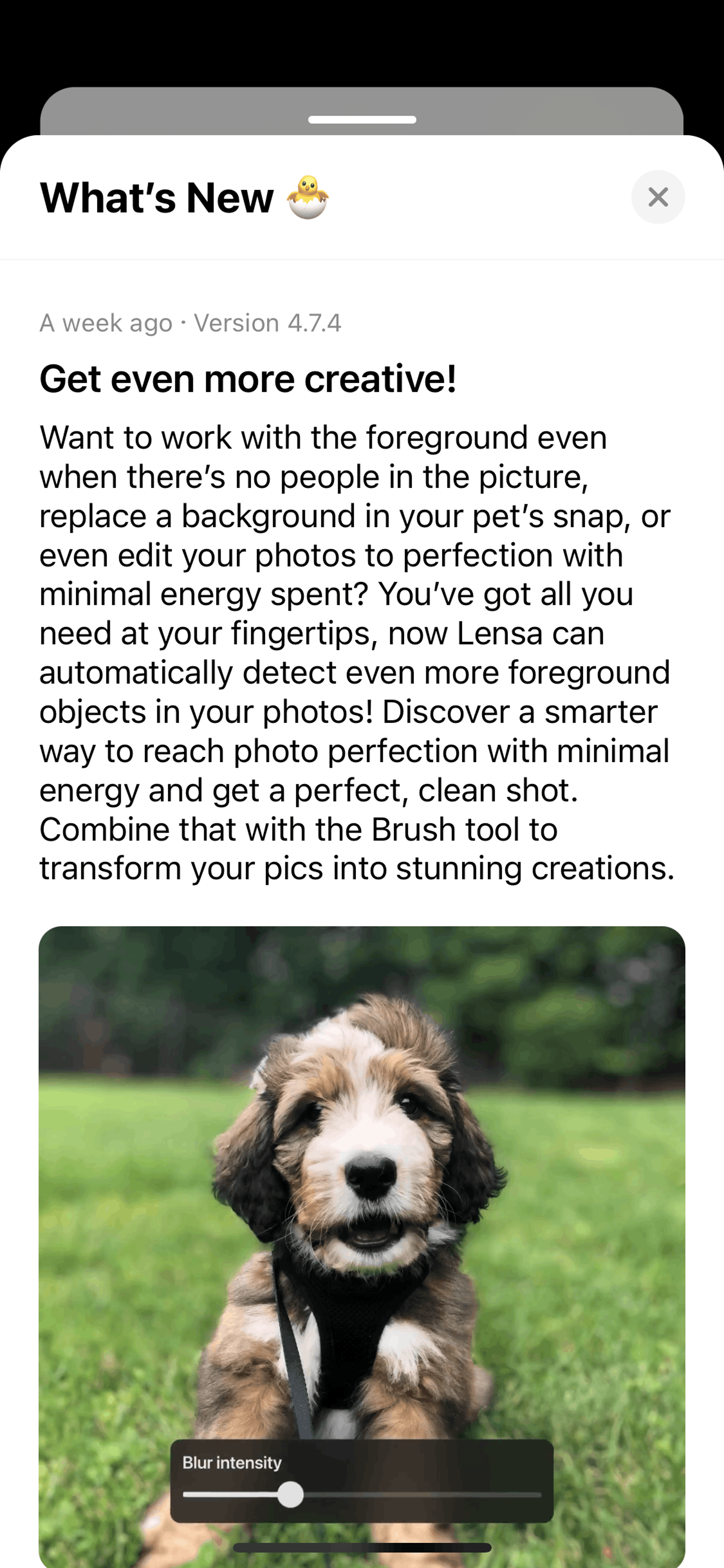 Lensa AI iOS Photo & Video interface screenshot 10