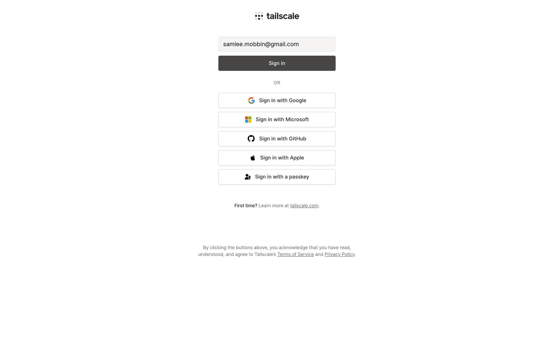 Tailscale Web Developer Tools interface screenshot 16